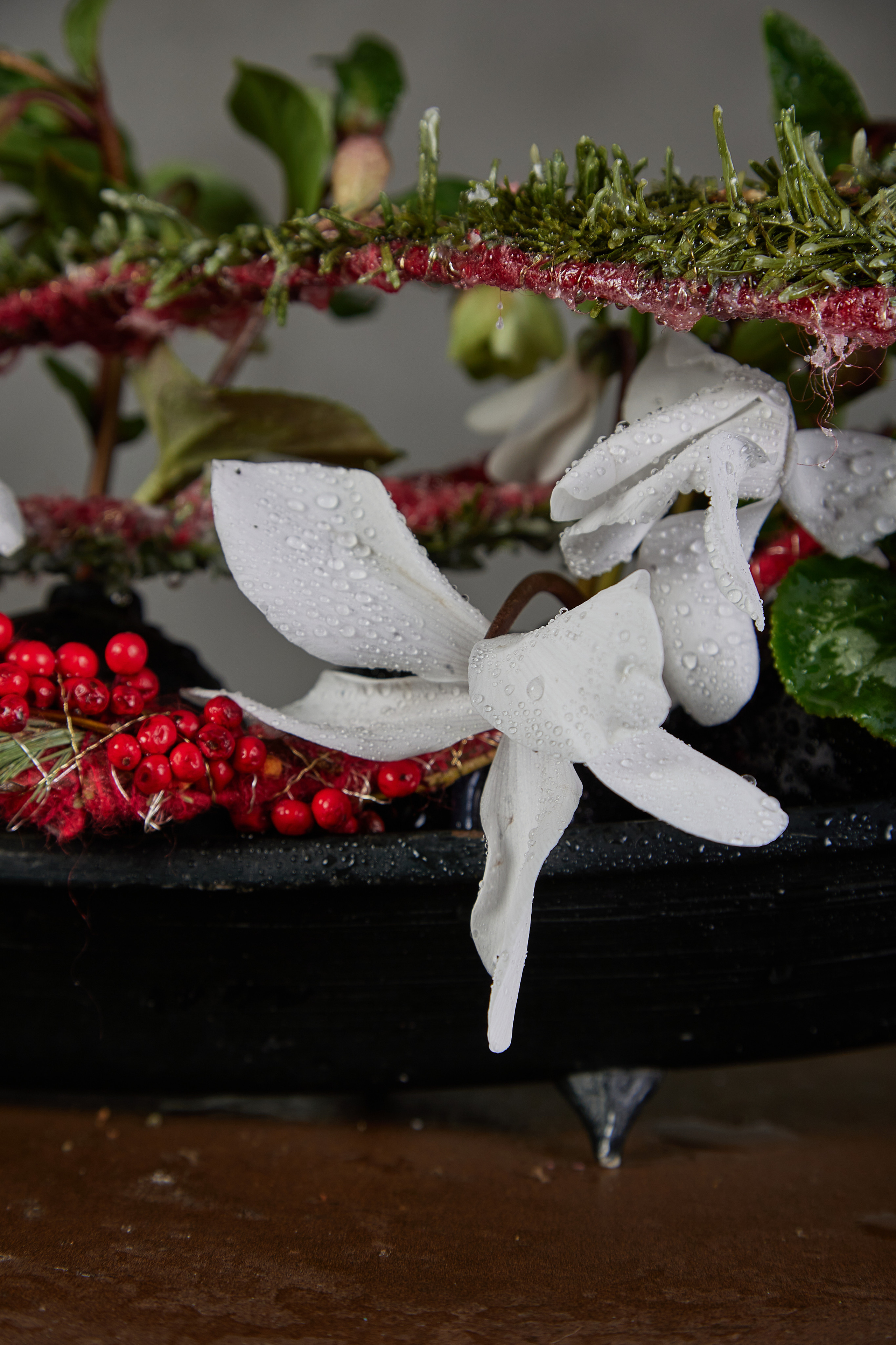 Рождественские работы Елены Максимовойй. Maria Poleshchuk, commercial photographer in Sydney