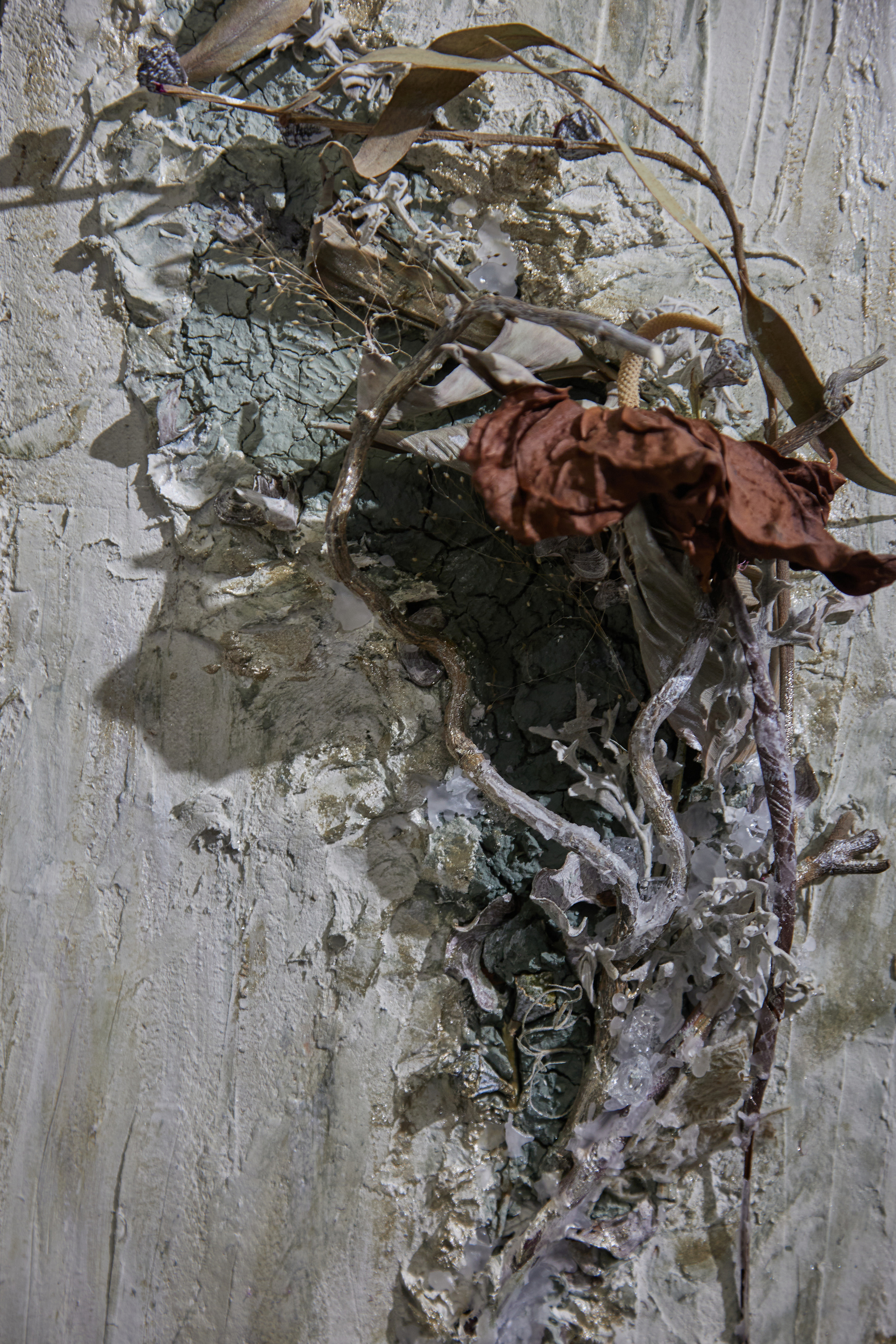 Коллажи в технике "Терра" в школе флористов-дизайнеров "Николь". Maria Poleshchuk, commercial photographer in Sydney