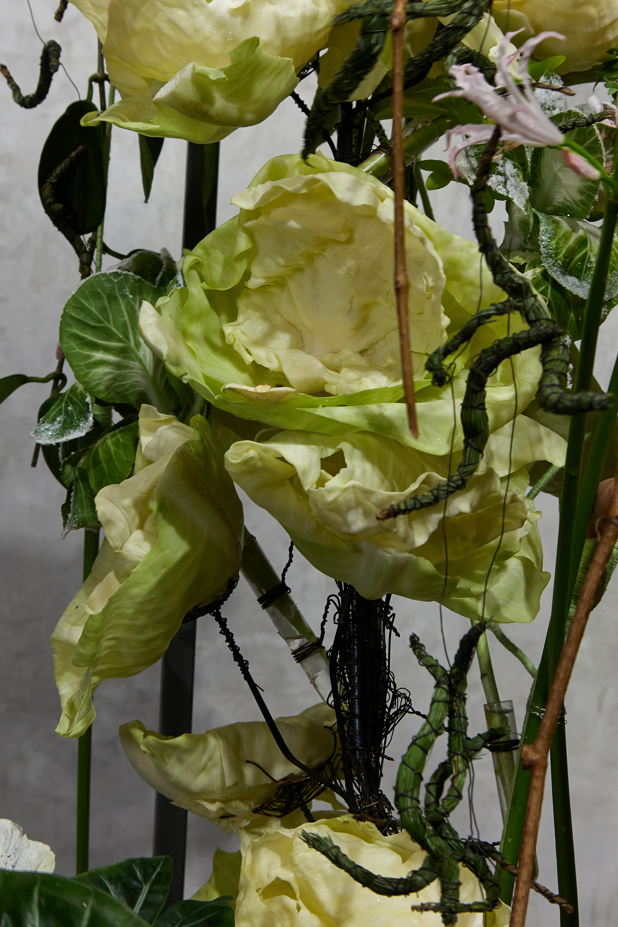 Большая глина № 4 и флористика. Maria Poleshchuk, commercial photographer in Sydney