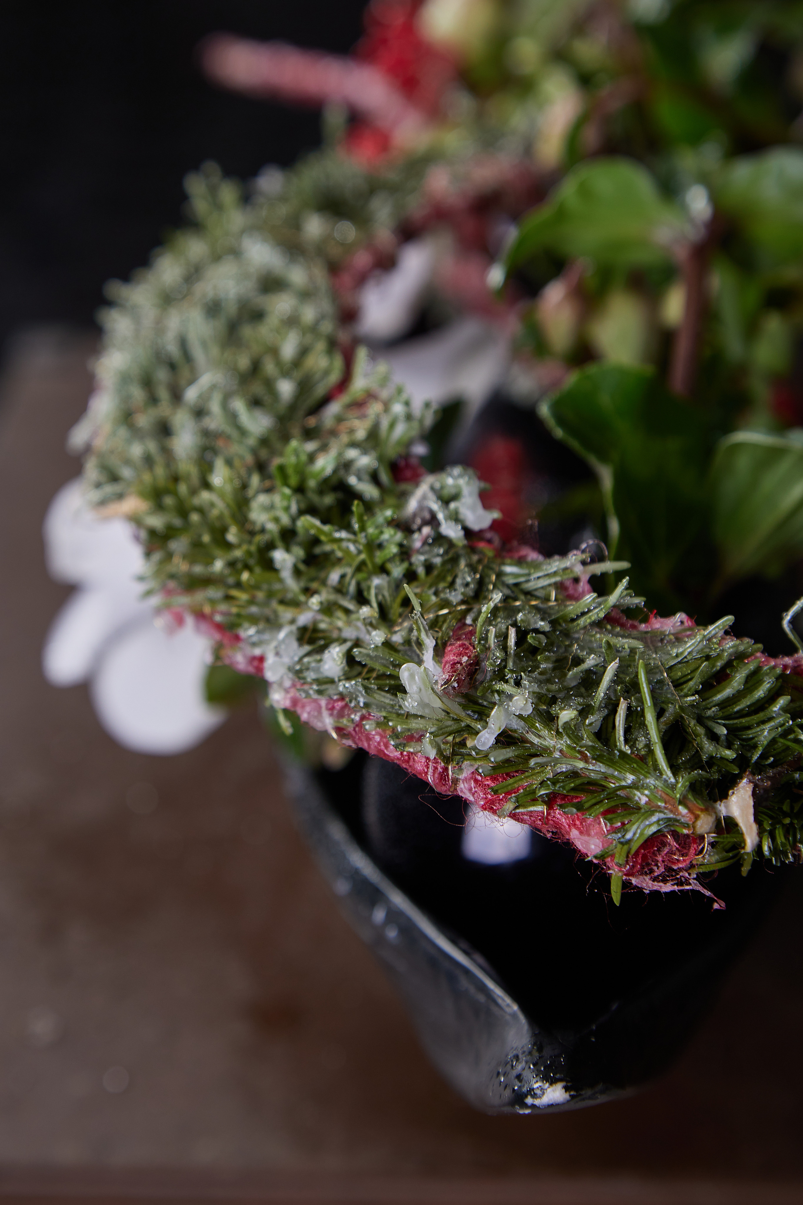 Рождественские работы Елены Максимовойй. Maria Poleshchuk, commercial photographer in Sydney