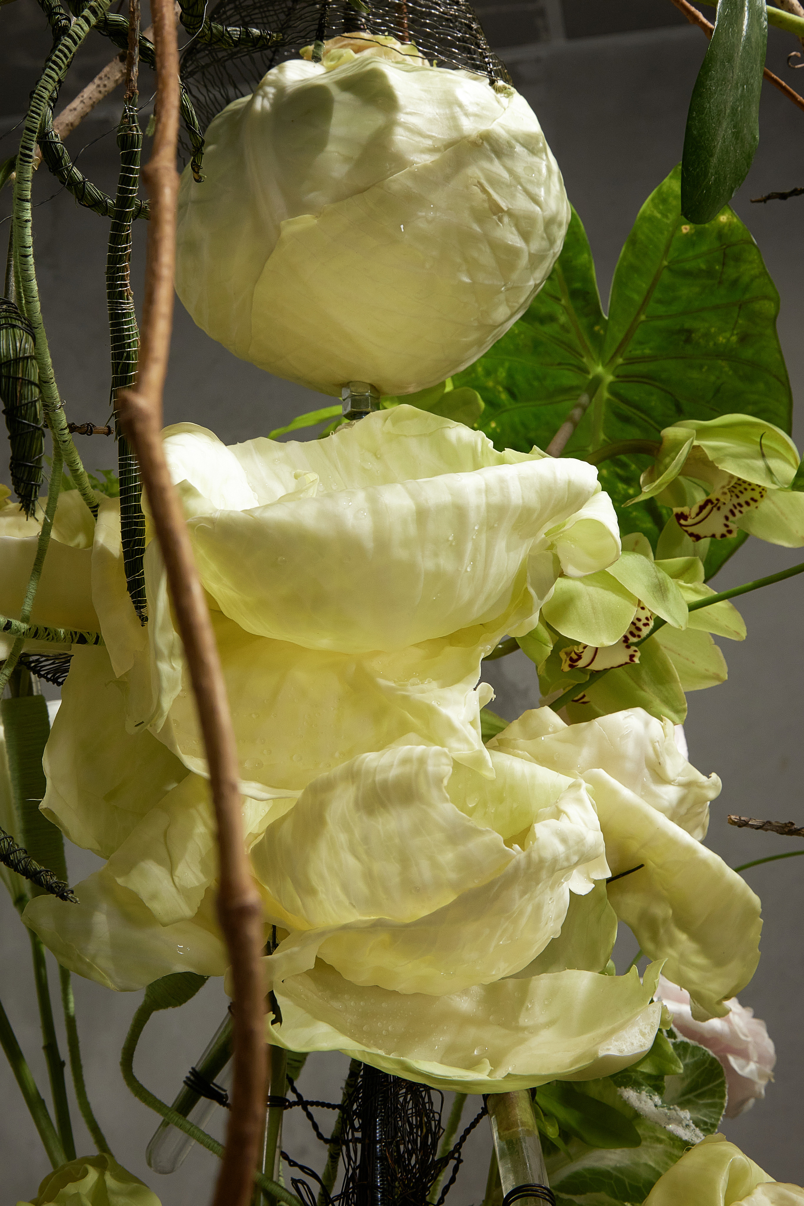 Большая глина № 4 и флористика. Maria Poleshchuk, commercial photographer in Sydney