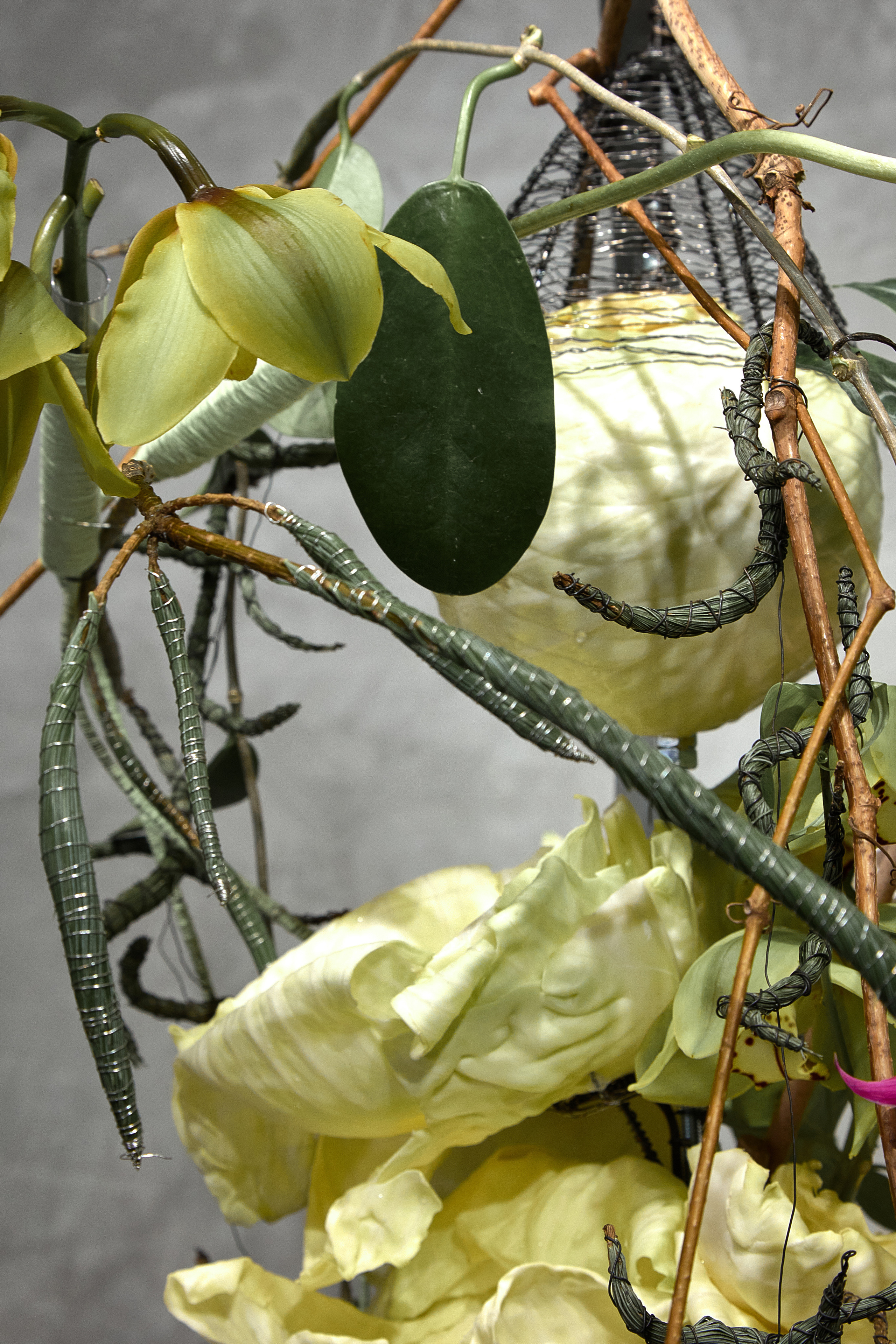 Большая глина № 4 и флористика. Maria Poleshchuk, commercial photographer in Sydney