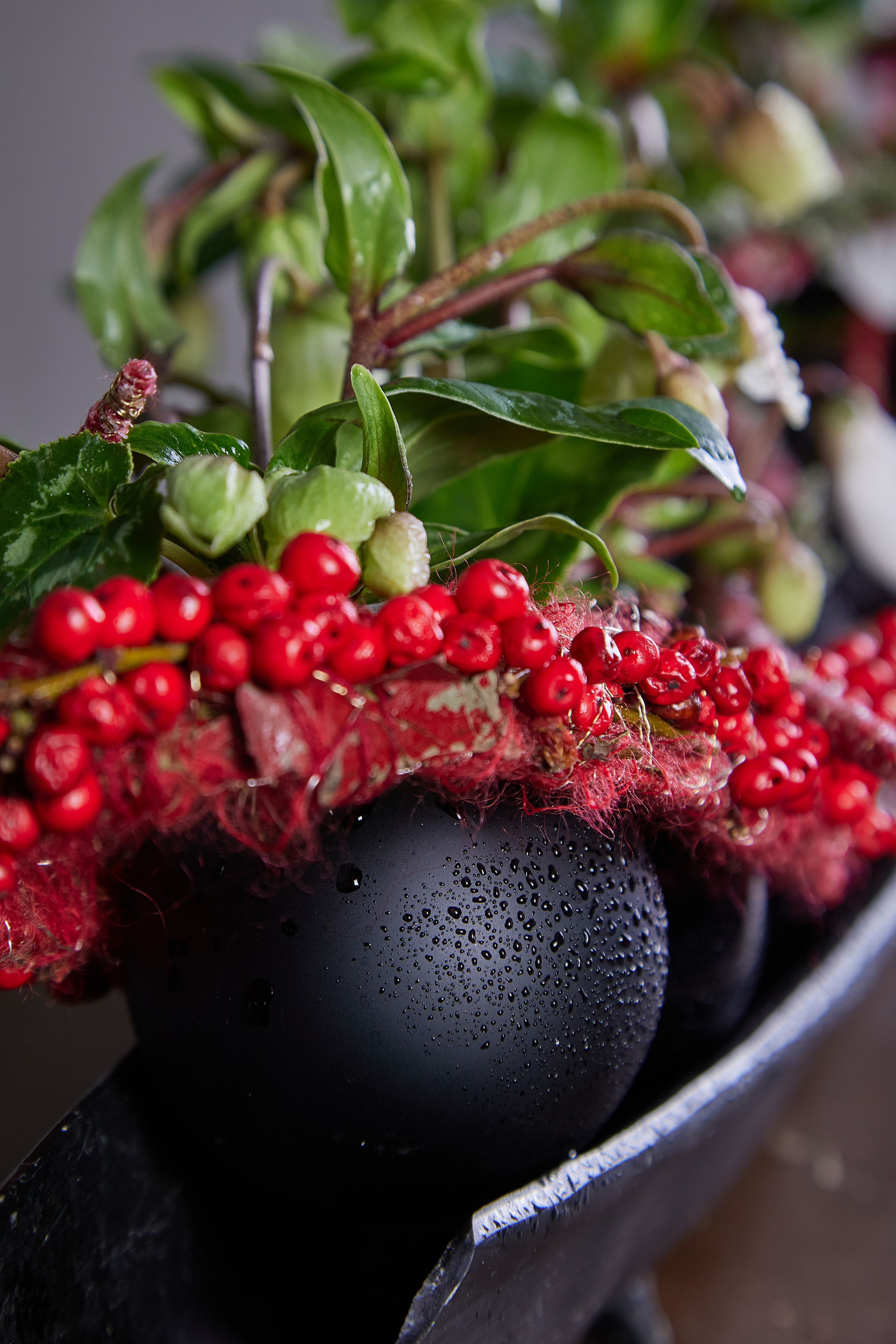 Рождественские работы Елены Максимовойй. Maria Poleshchuk, commercial photographer in Sydney