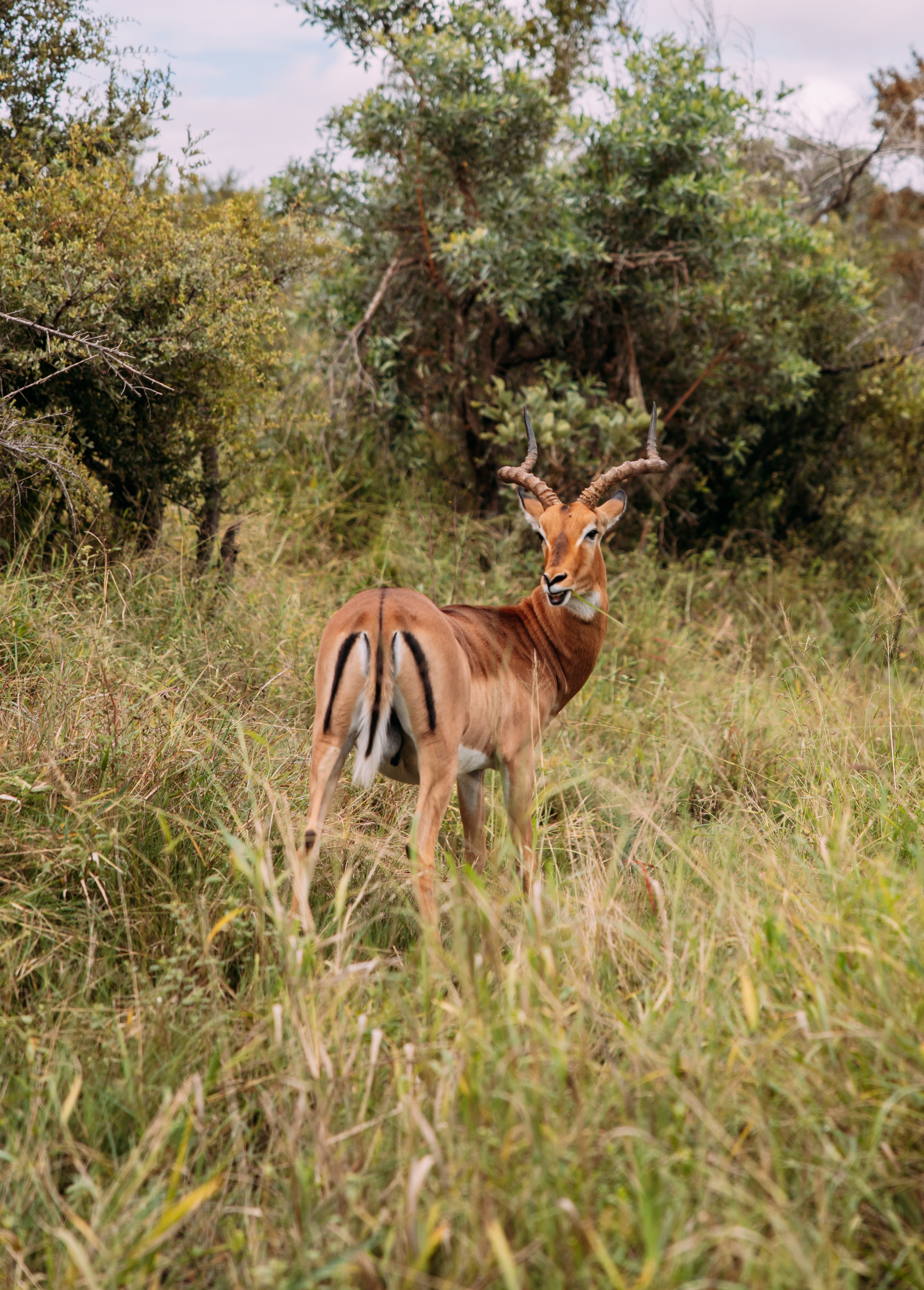 Фотограф Марина Аблаева-Кожедуб