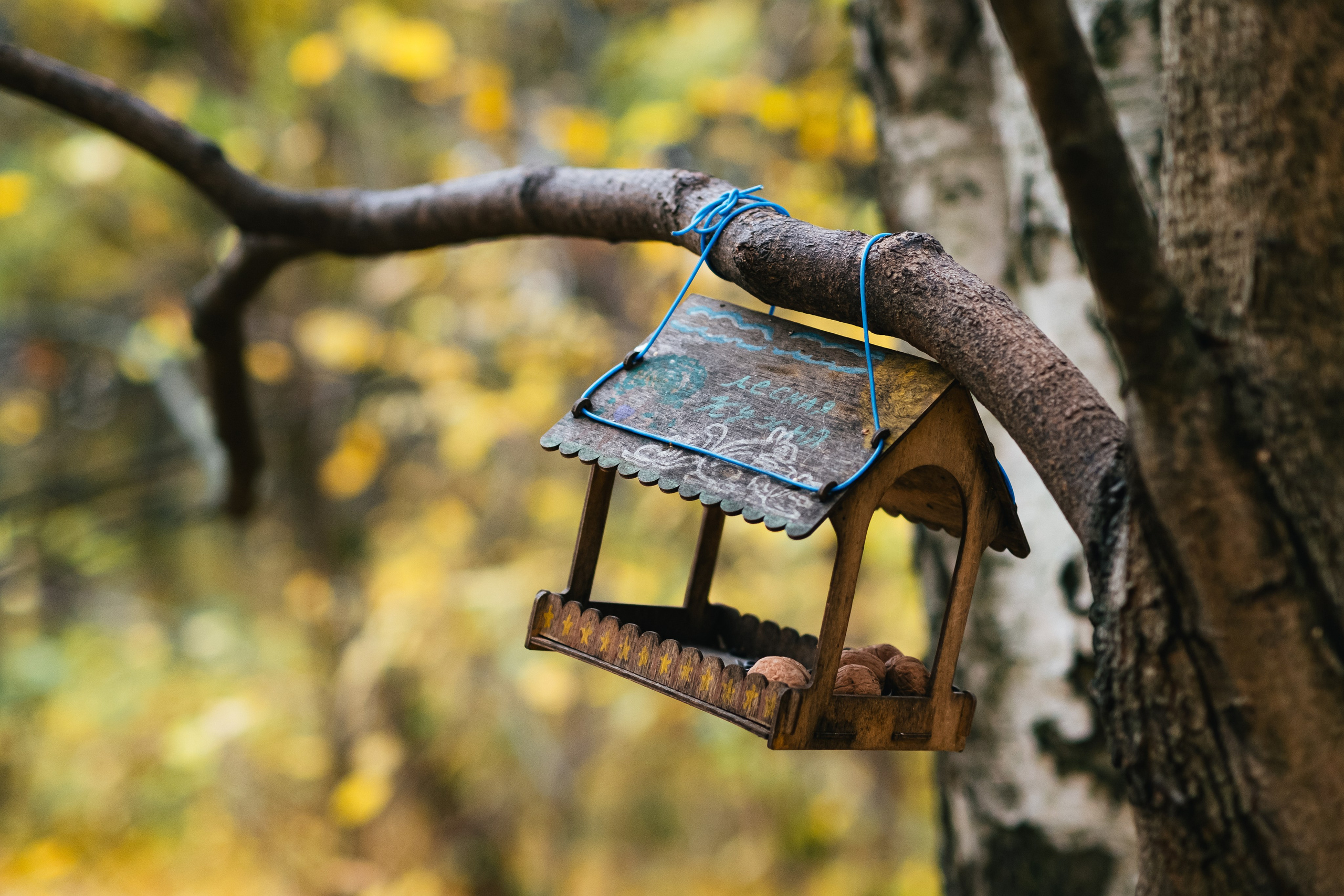 Фотостудия в Москве LUXARTPHOTO