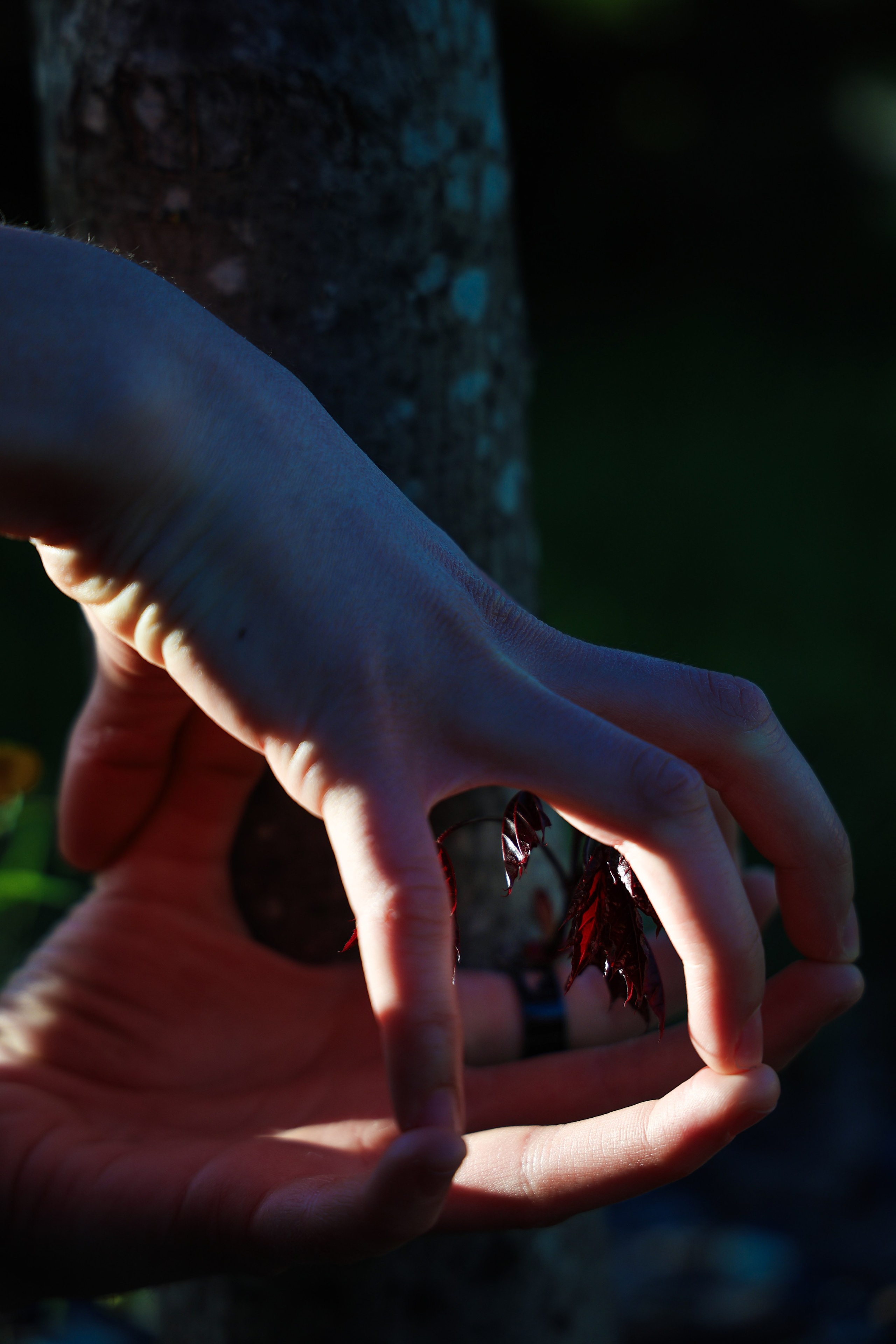 Colours of life. Portrait photographer based in Toronto — Blinova Mariia