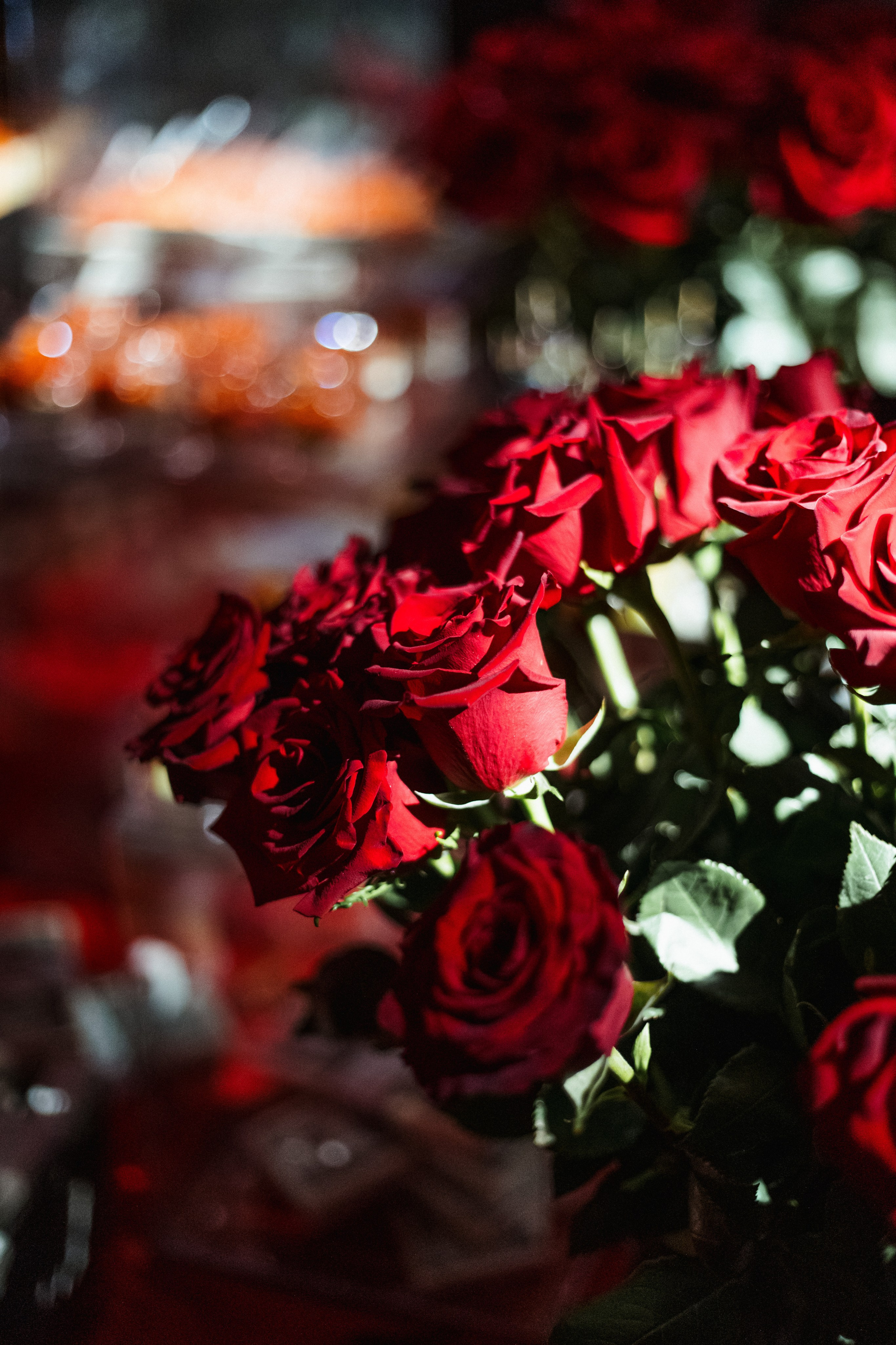 LA FAMIGLIA — SOLOVI — 1 YEAR. СВОИ. ФОТООТЧЕТЫ-СОБЫТИЯ-МЕСТА