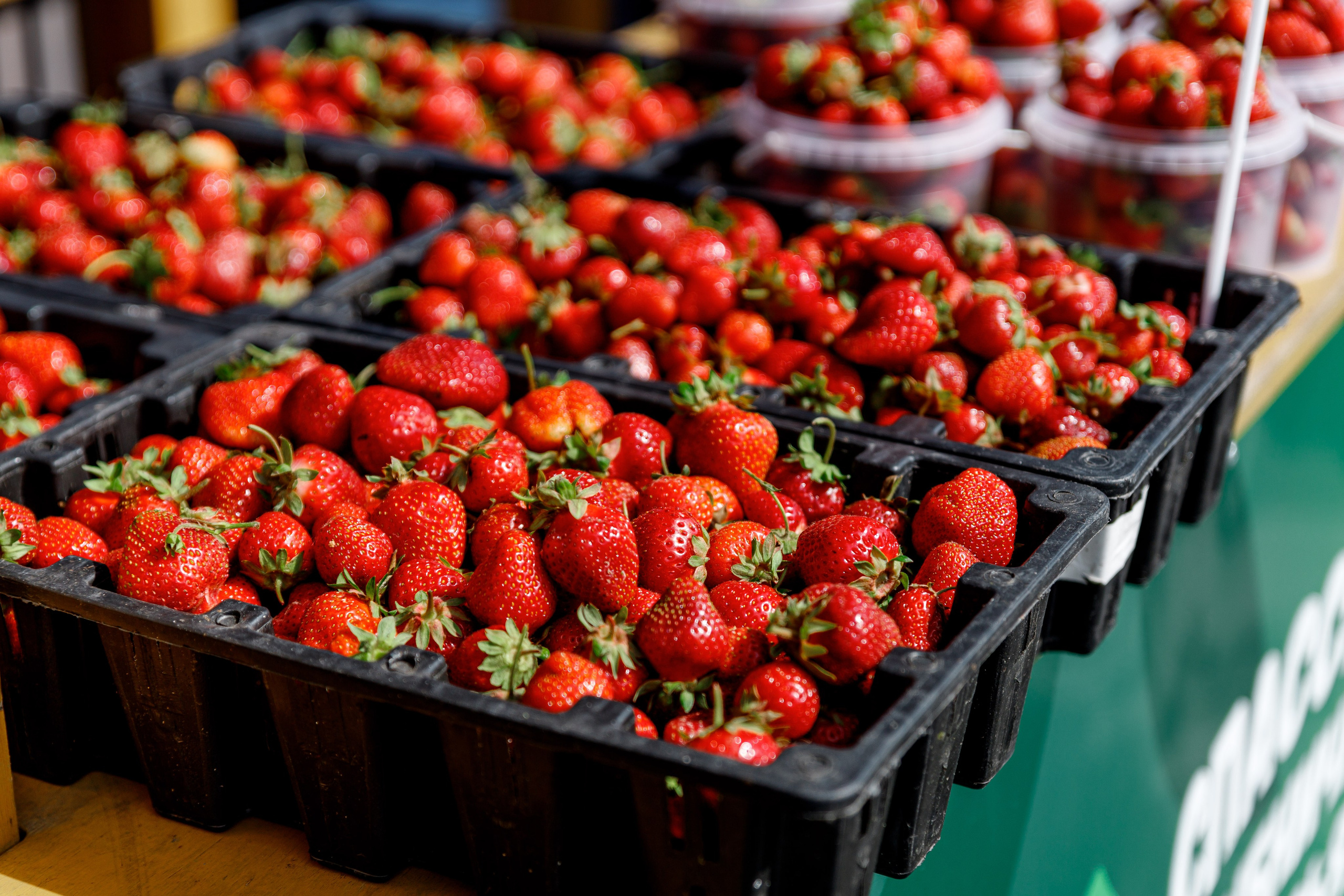 Фестиваль клубники в г. Спасск-Дальний, 2025 г