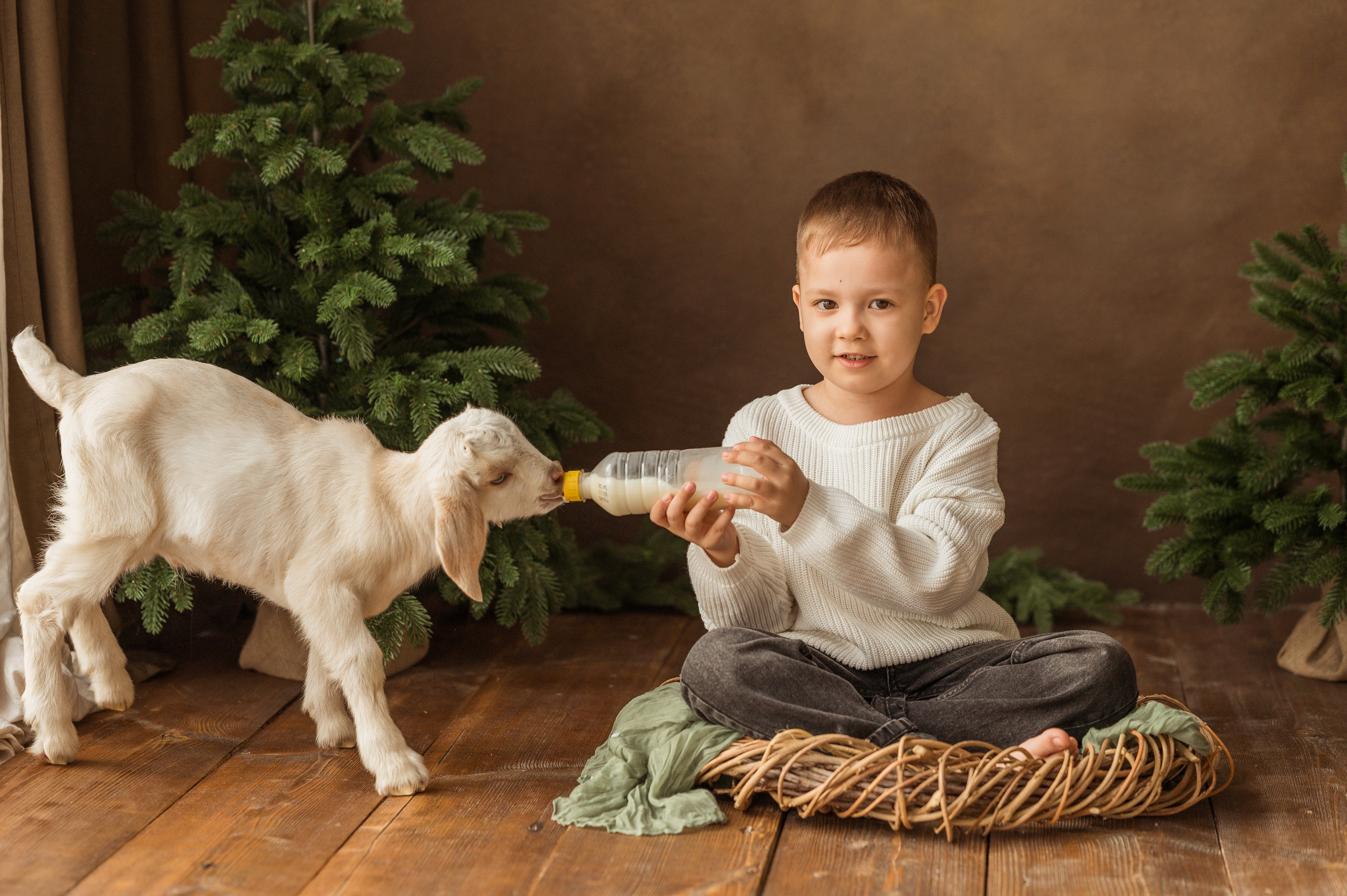Данечка, Артем и козлик. Детский и семейный фотограф Ирина Гладких