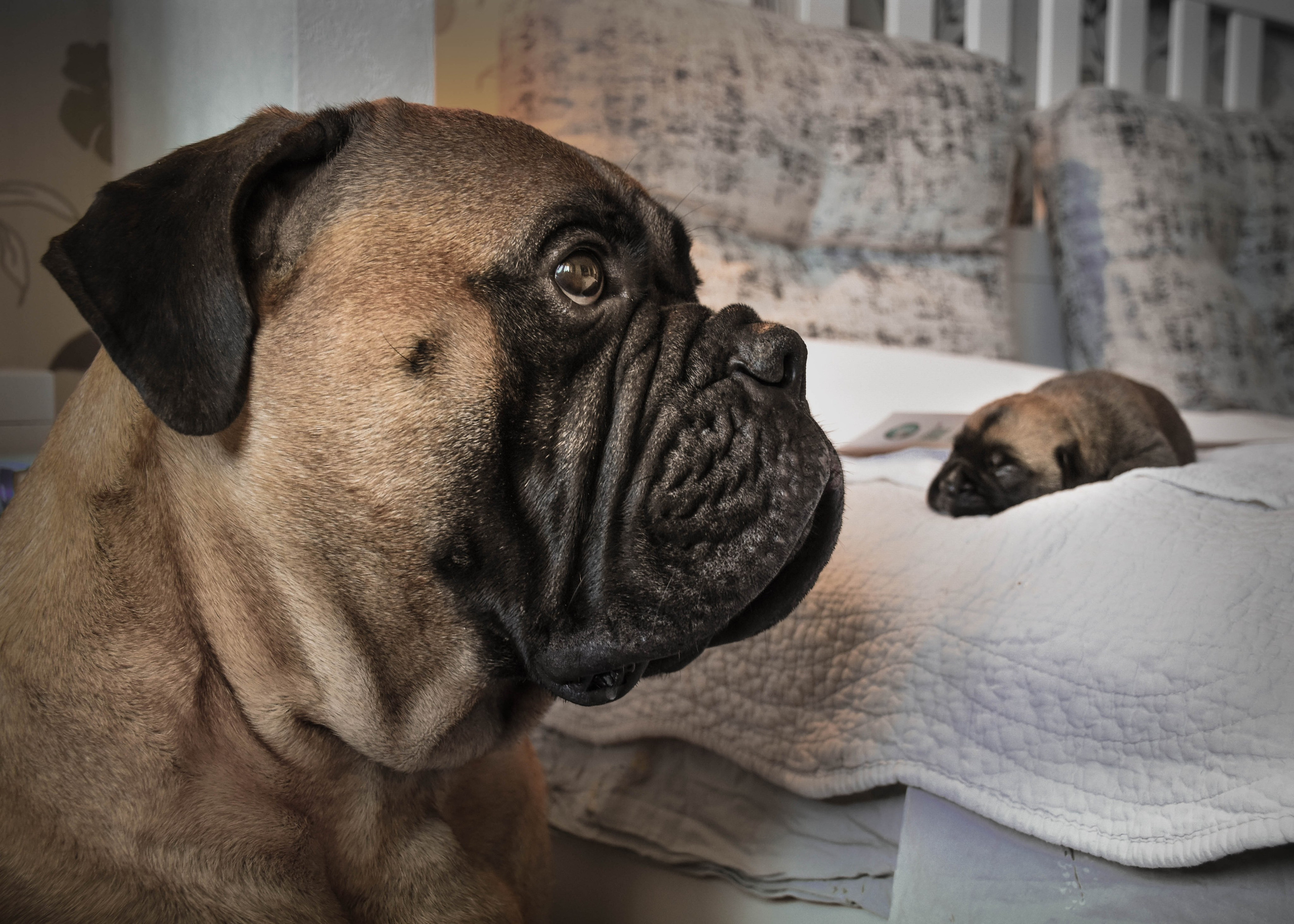 В созвучии с природой. Фотограф Светлана В. Пронина, Москва