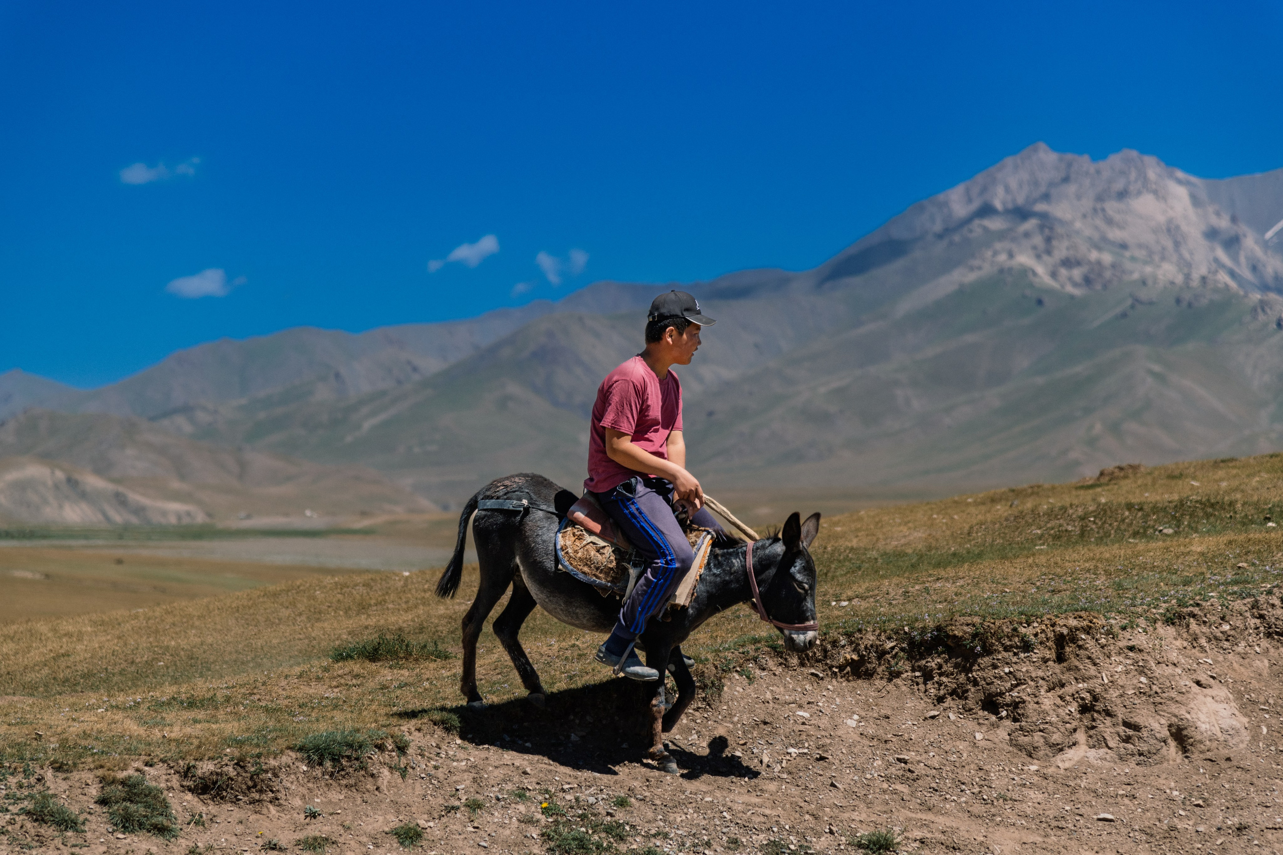 Средняя Азия подборка. Роман Свободный — интерьерная и архитектурная съёмка, Москва и МО