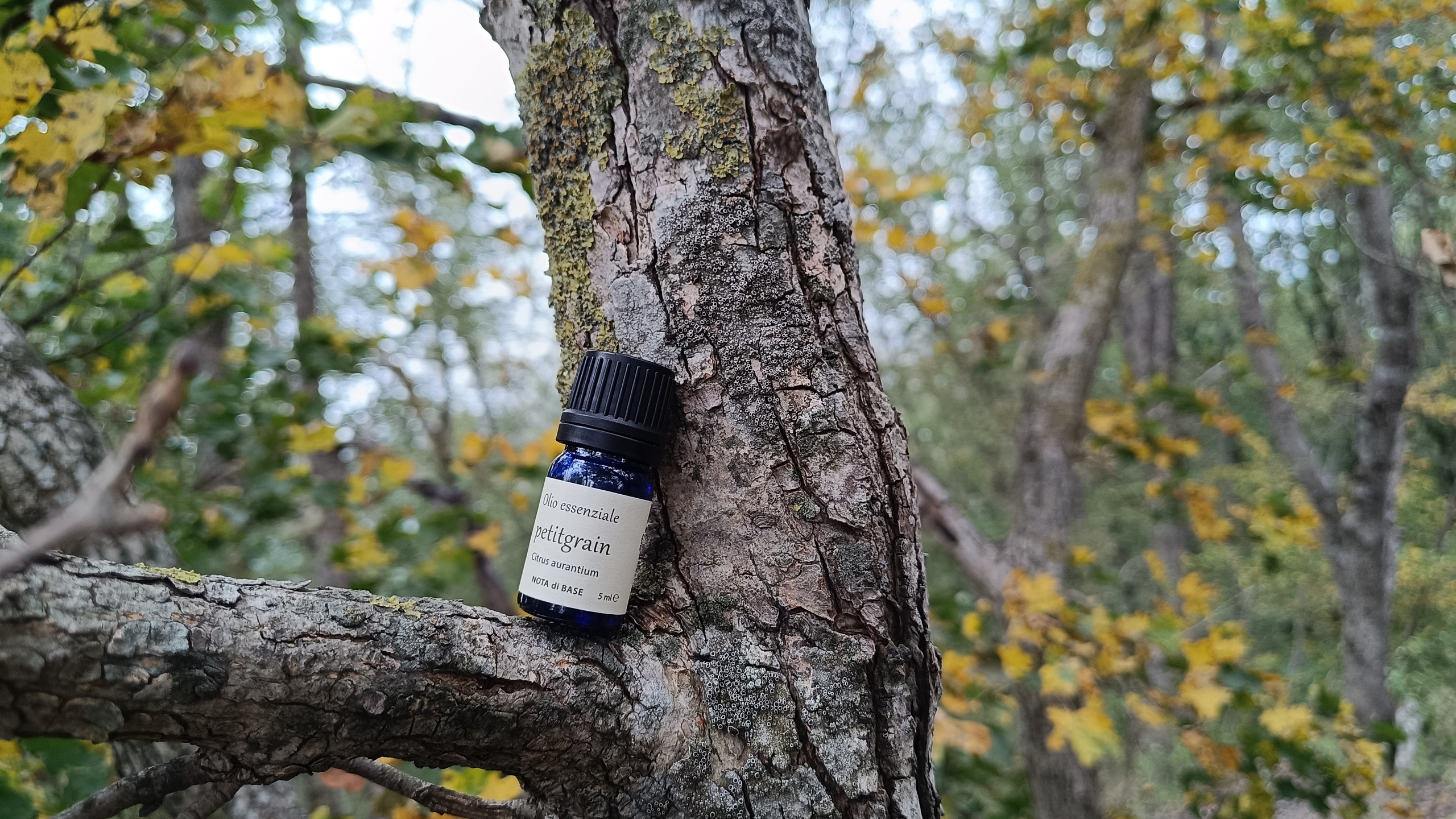 Ольфактотерапия. Марина Рыбкина — Глубинная психология