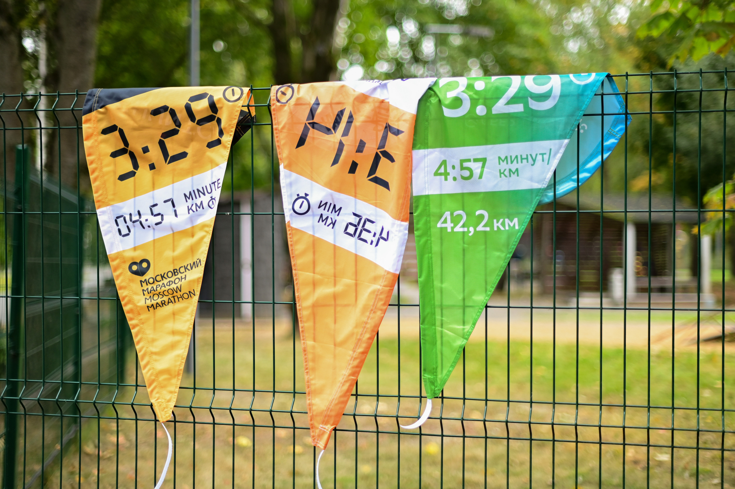 Sat9am5km Кузьминки (16.09.23) Предмарафонский. Фотограф | Ирина Гамзинова | Москва