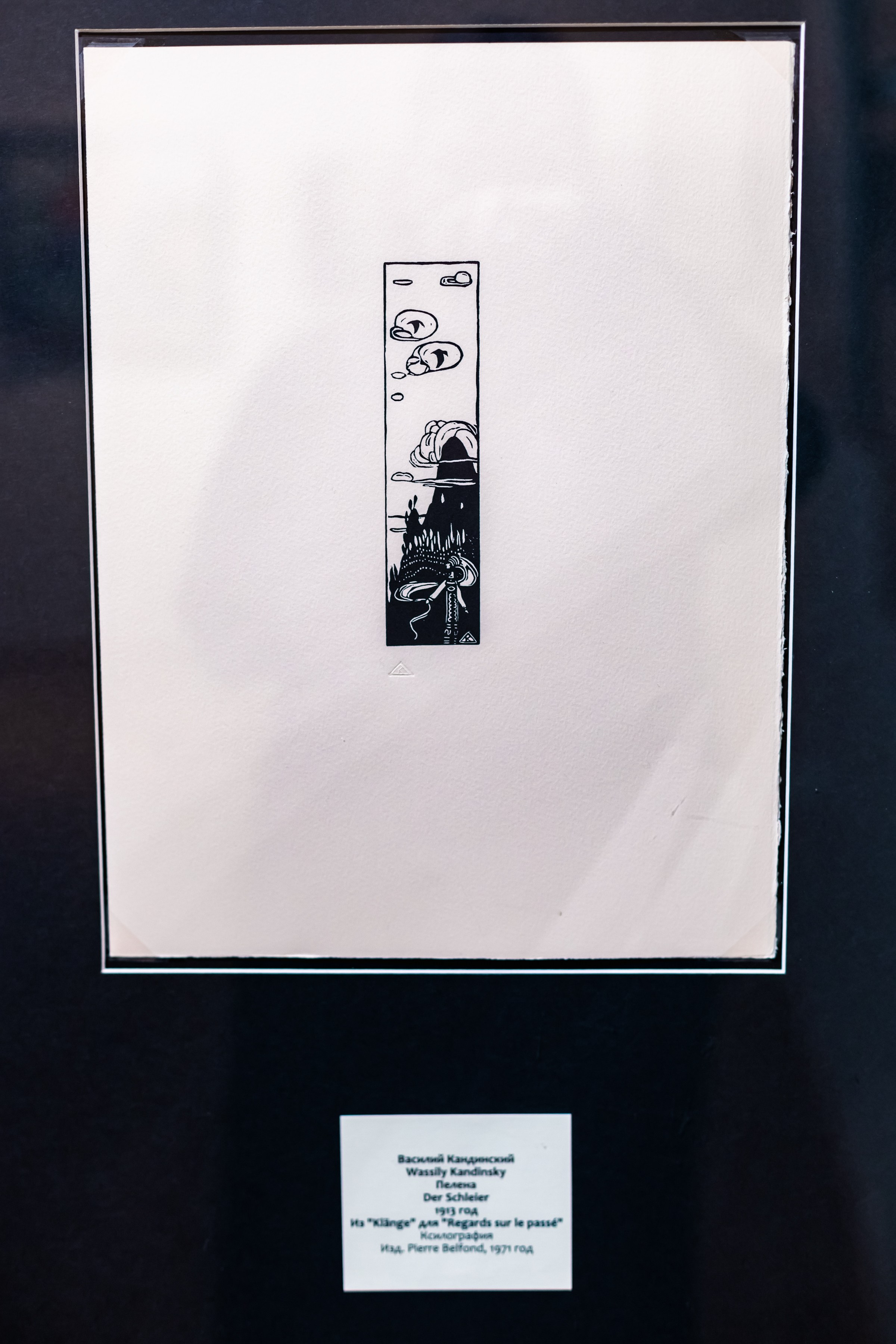 Василий Кандинский. Цветозвуки. Фотограф в Красноярске Оксана Корчагина