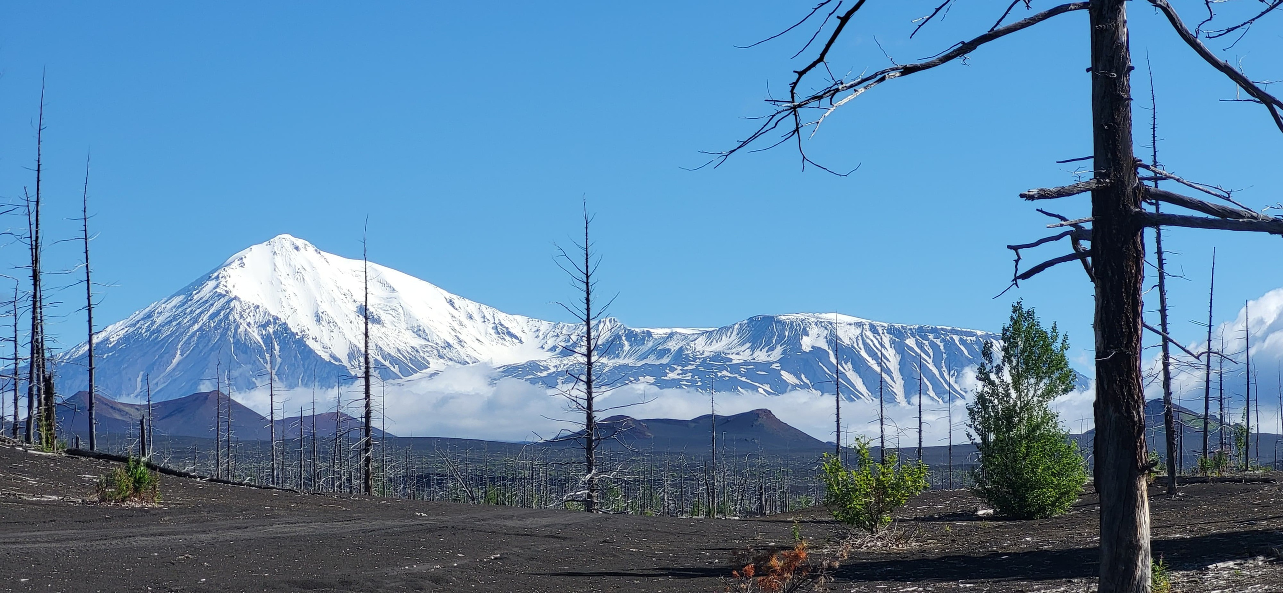Толбачик. Экскурсионные туры по Камчатке