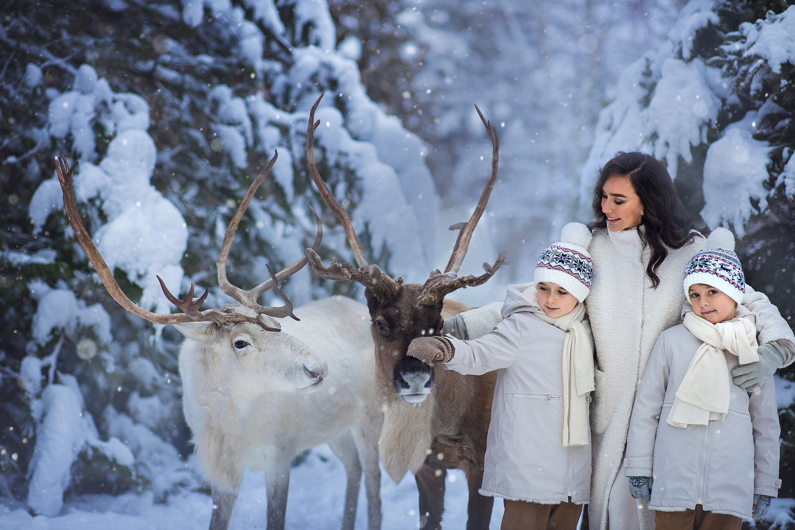 Фотосессия с оленем, сказочная Фотосессия, зимний фотопроект, детский фотограф, съемка с оленем, фотопроект, Фотосессия с животными, топовый фотограф