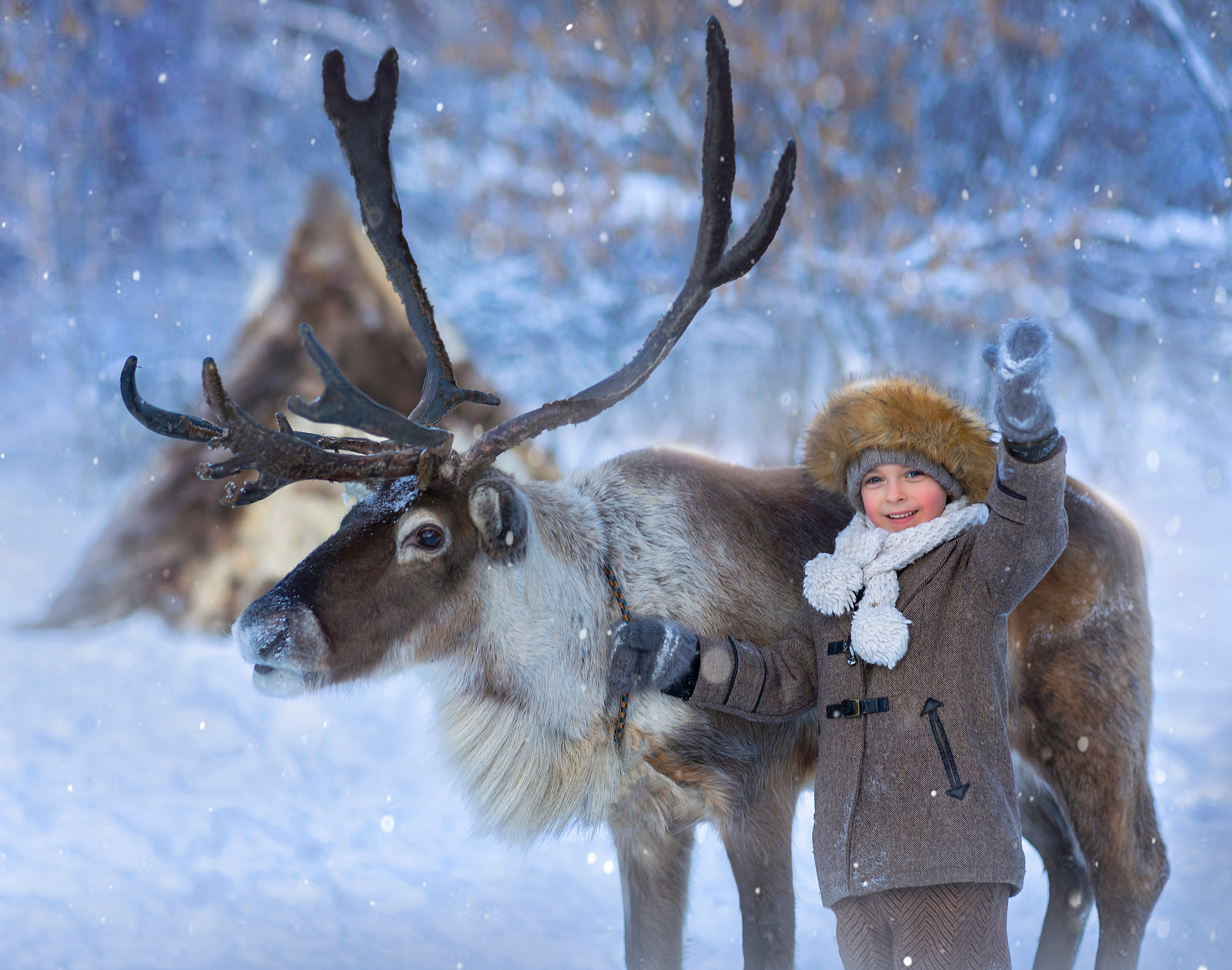 Фотосессия с оленями. Фотограф Лия Милк | Москва, Подмосковье