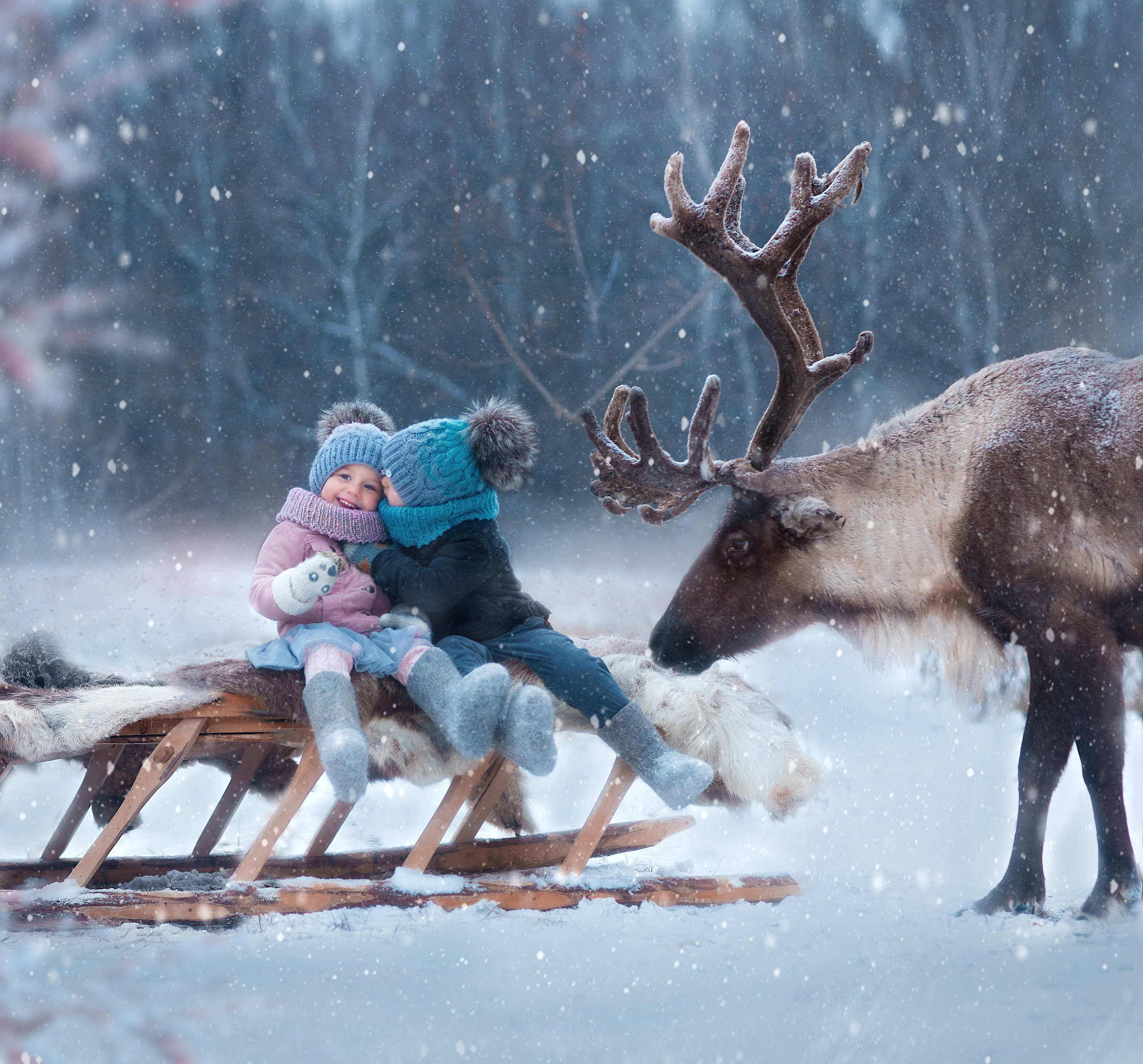 Фотосессия с оленями. Фотограф Лия Милк | Москва, Подмосковье
