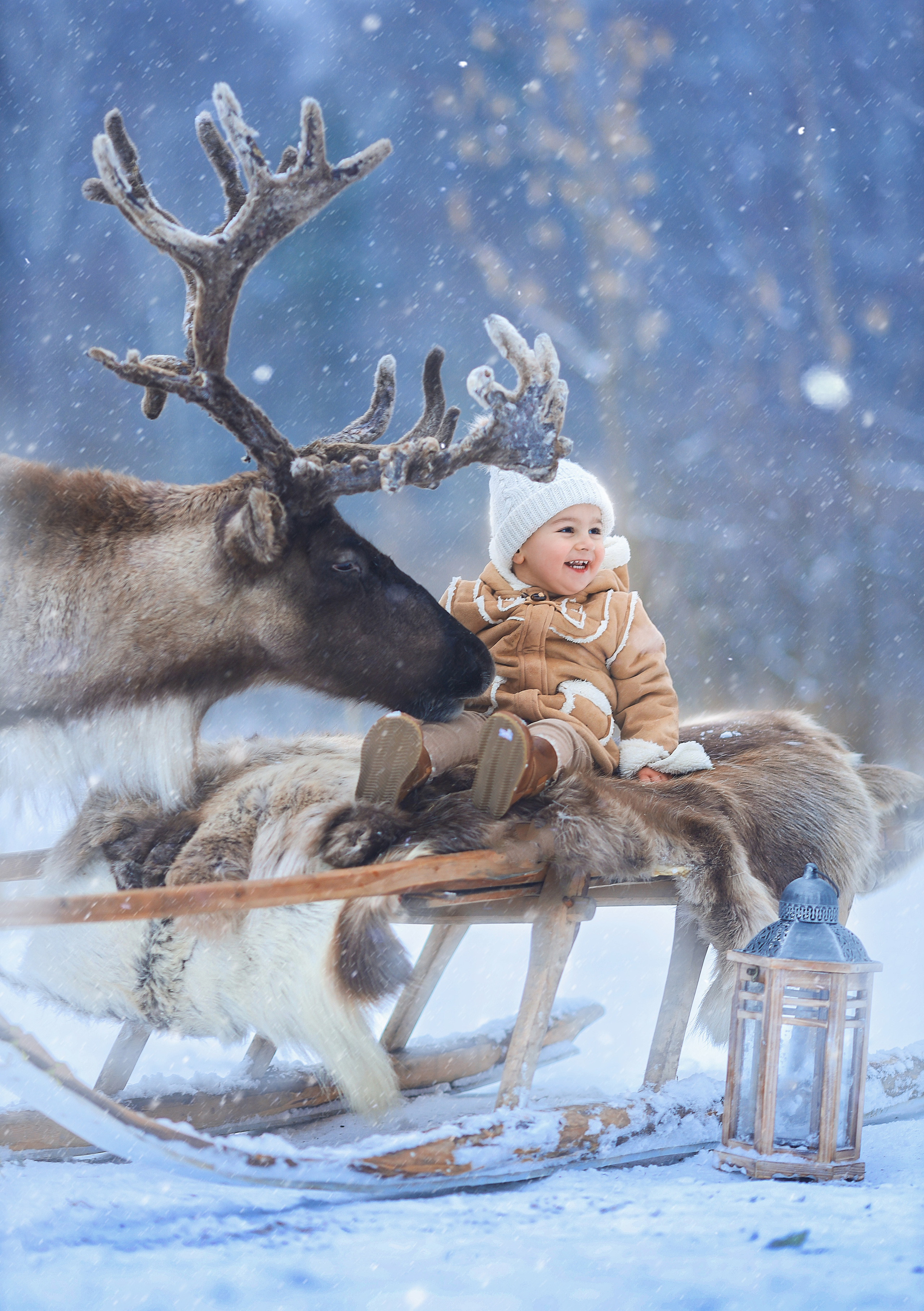 Фотосессия с оленями. Фотограф Лия Милк | Москва, Подмосковье