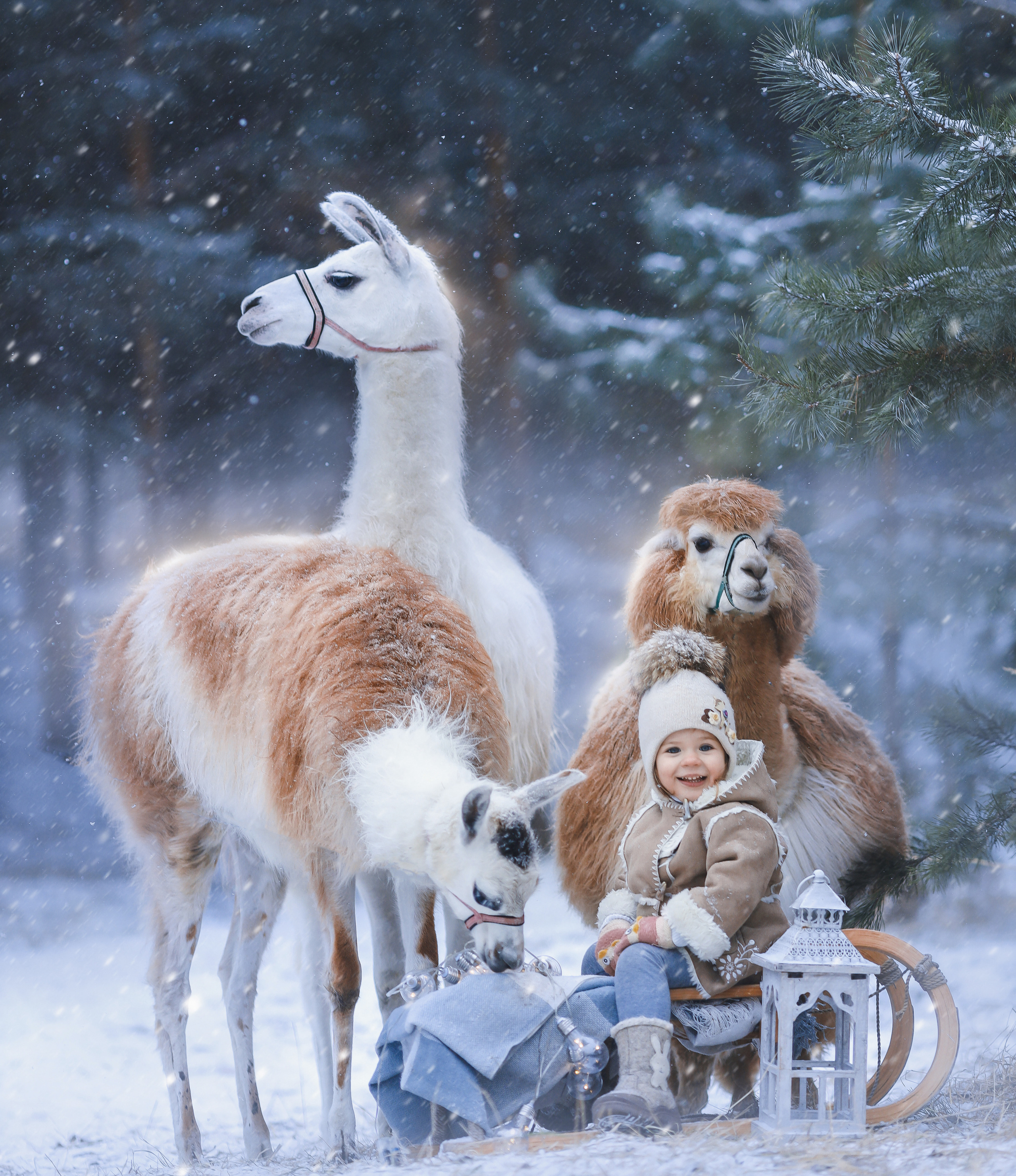 Фотосессия с оленями. Фотограф Лия Милк | Москва, Подмосковье