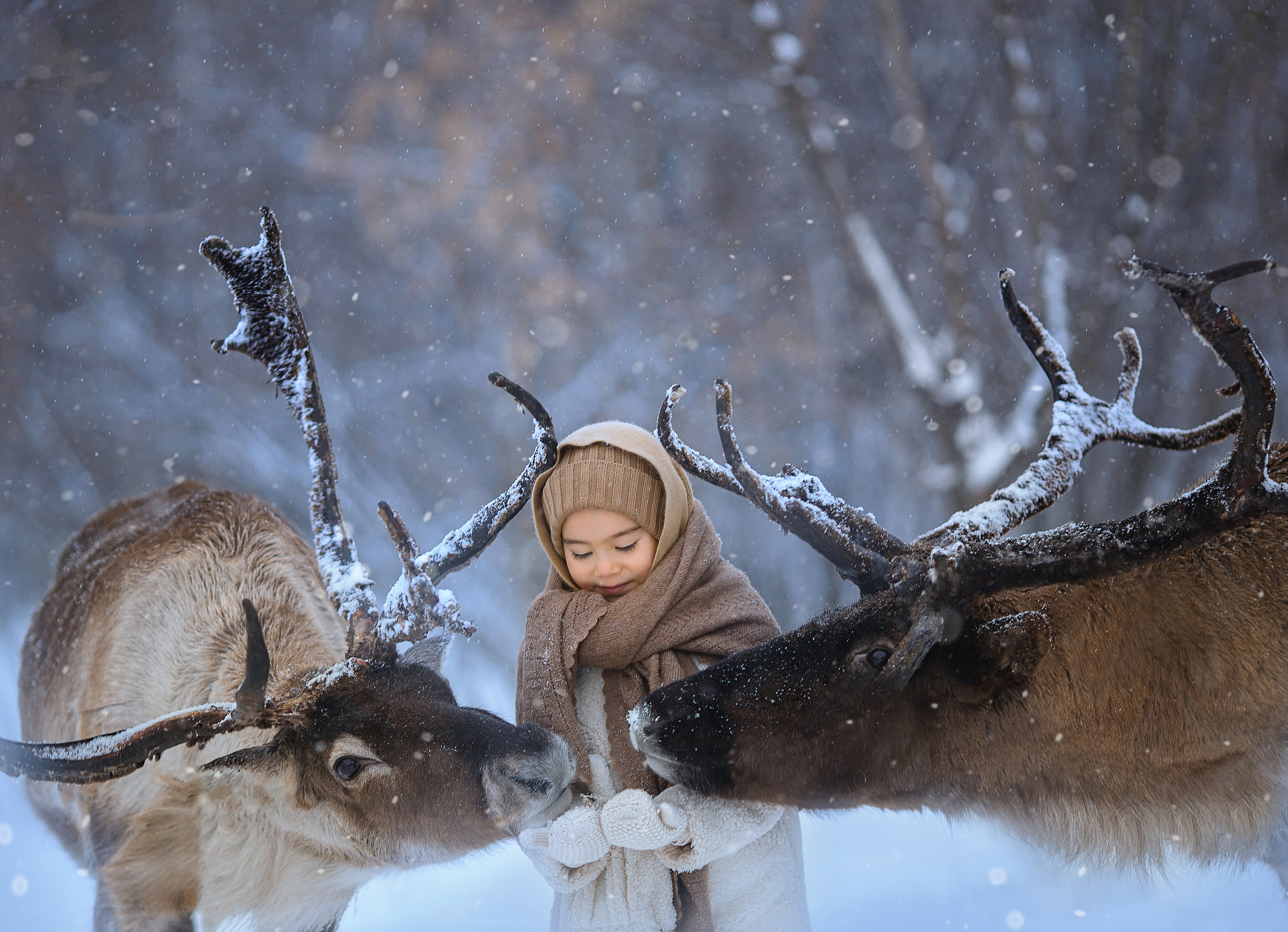 Фотосессия с оленями. Фотограф Лия Милк | Москва, Подмосковье