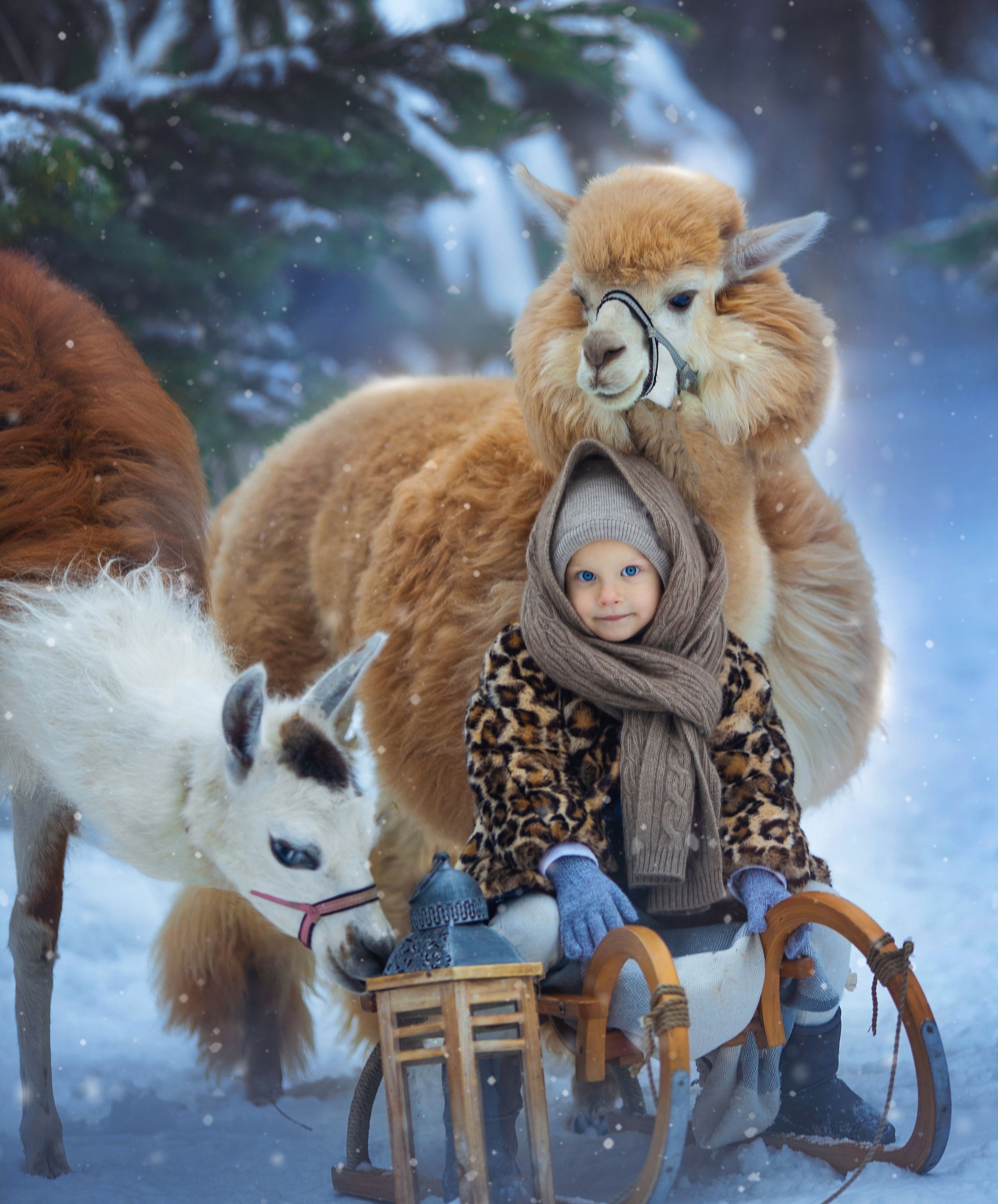 Фотосессия с оленем, сказочная Фотосессия, зимний фотопроект, детский фотограф, съемка с оленем, фотопроект, Фотосессия с животными, топовый фотограф