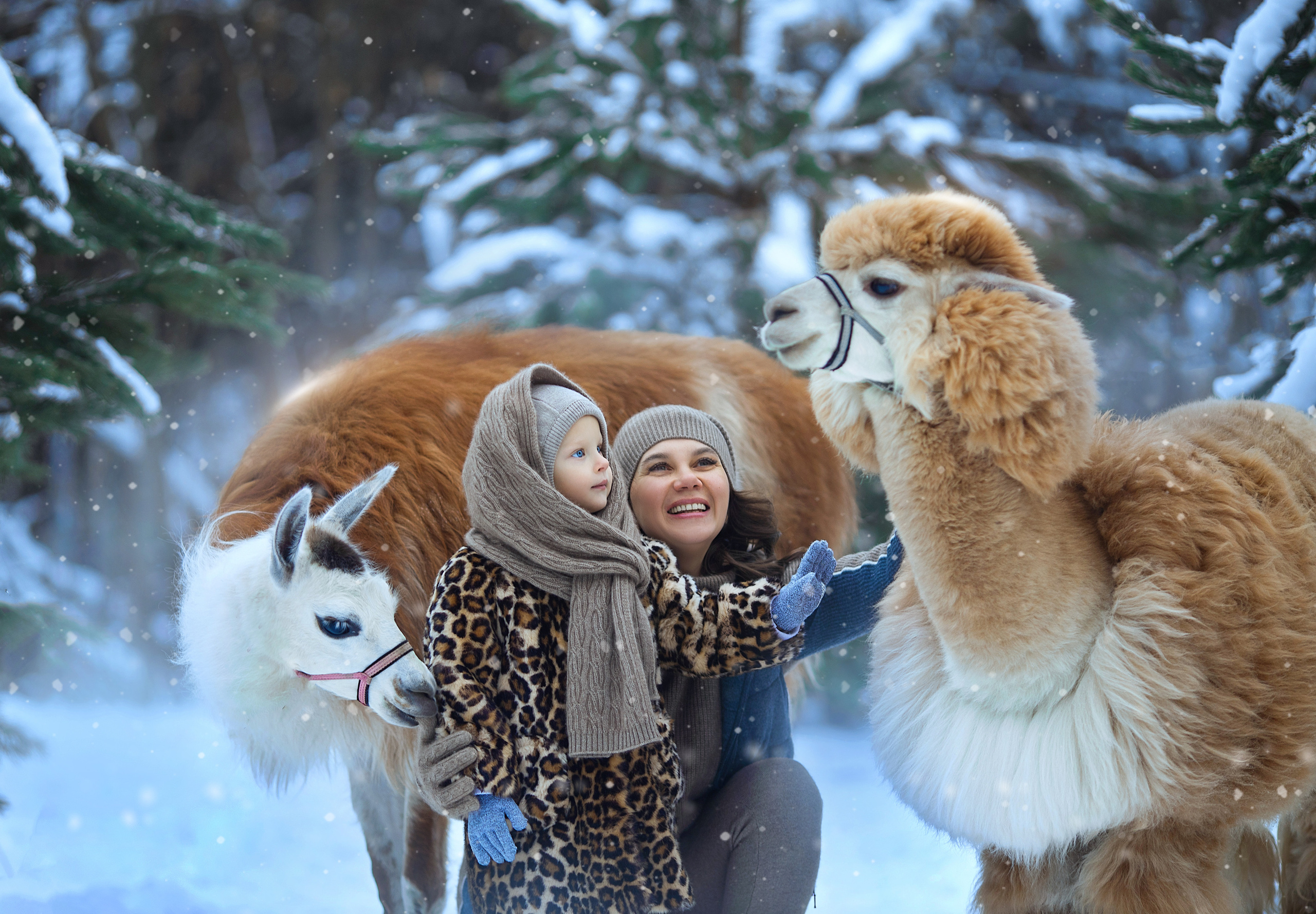 Фотосессия с оленем, сказочная Фотосессия, зимний фотопроект, детский фотограф, съемка с оленем, фотопроект, Фотосессия с животными, топовый фотограф