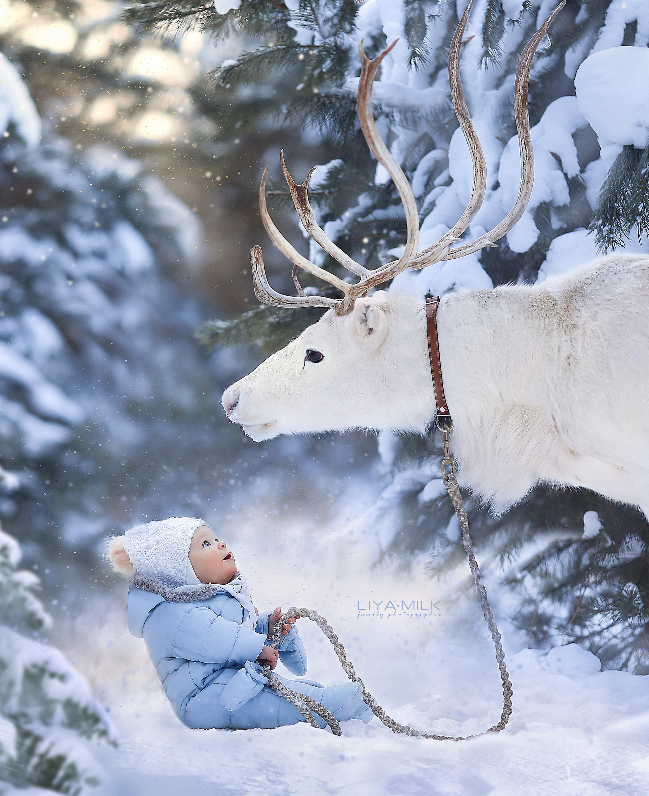 Фотосессия с оленями. Фотограф Лия Милк | Москва, Подмосковье