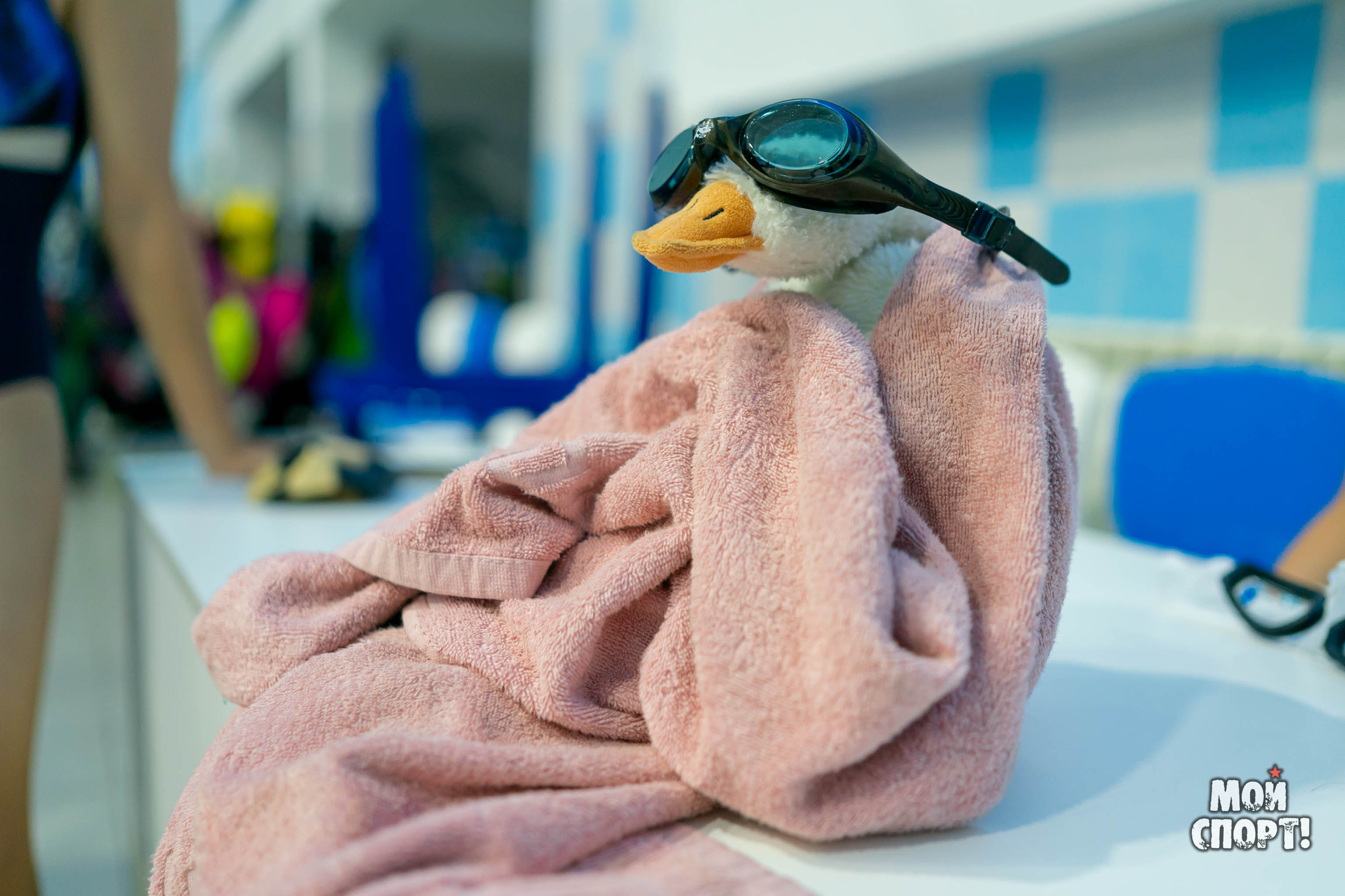 Игры ГТО — 2024. Студия «Мой Спорт!» — все о спорте в Якутии