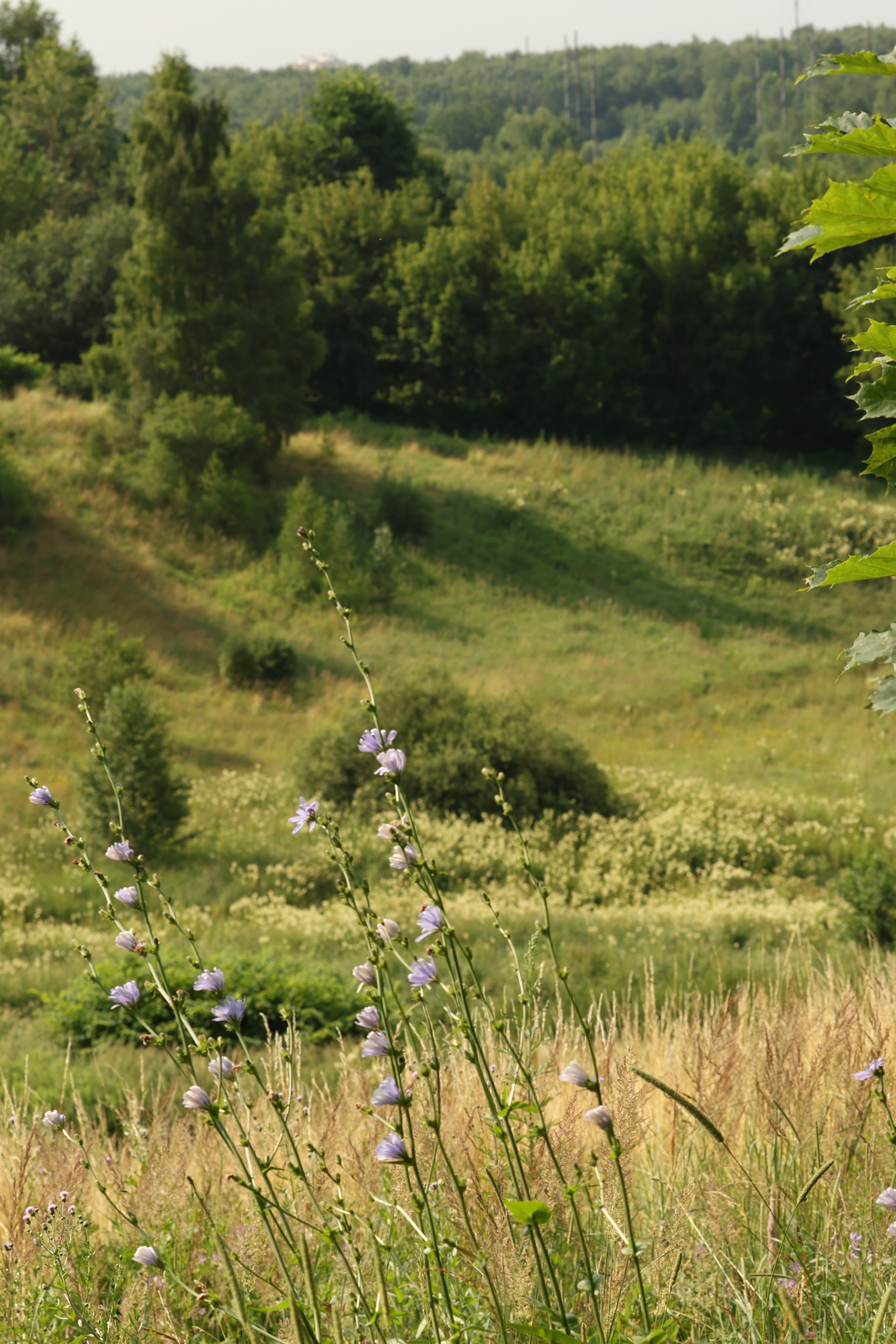 Съемка на природе. Photo-gerz.ru