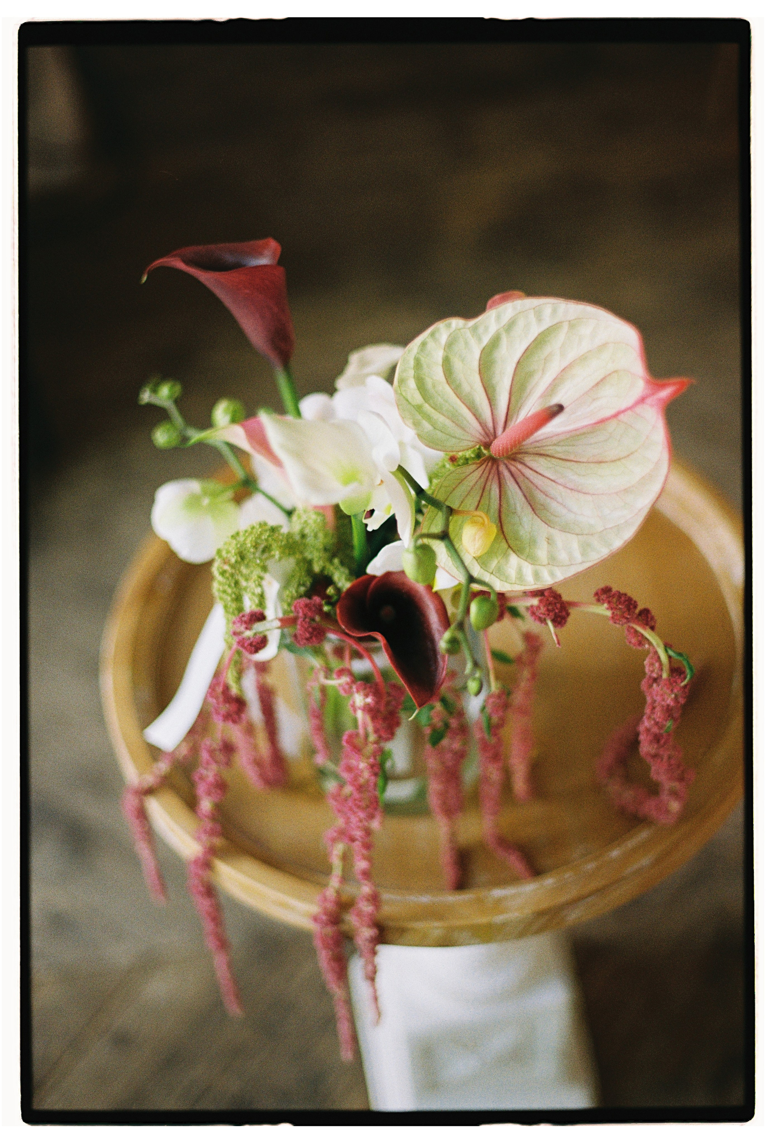 Фотограф Елена Маринина Москва