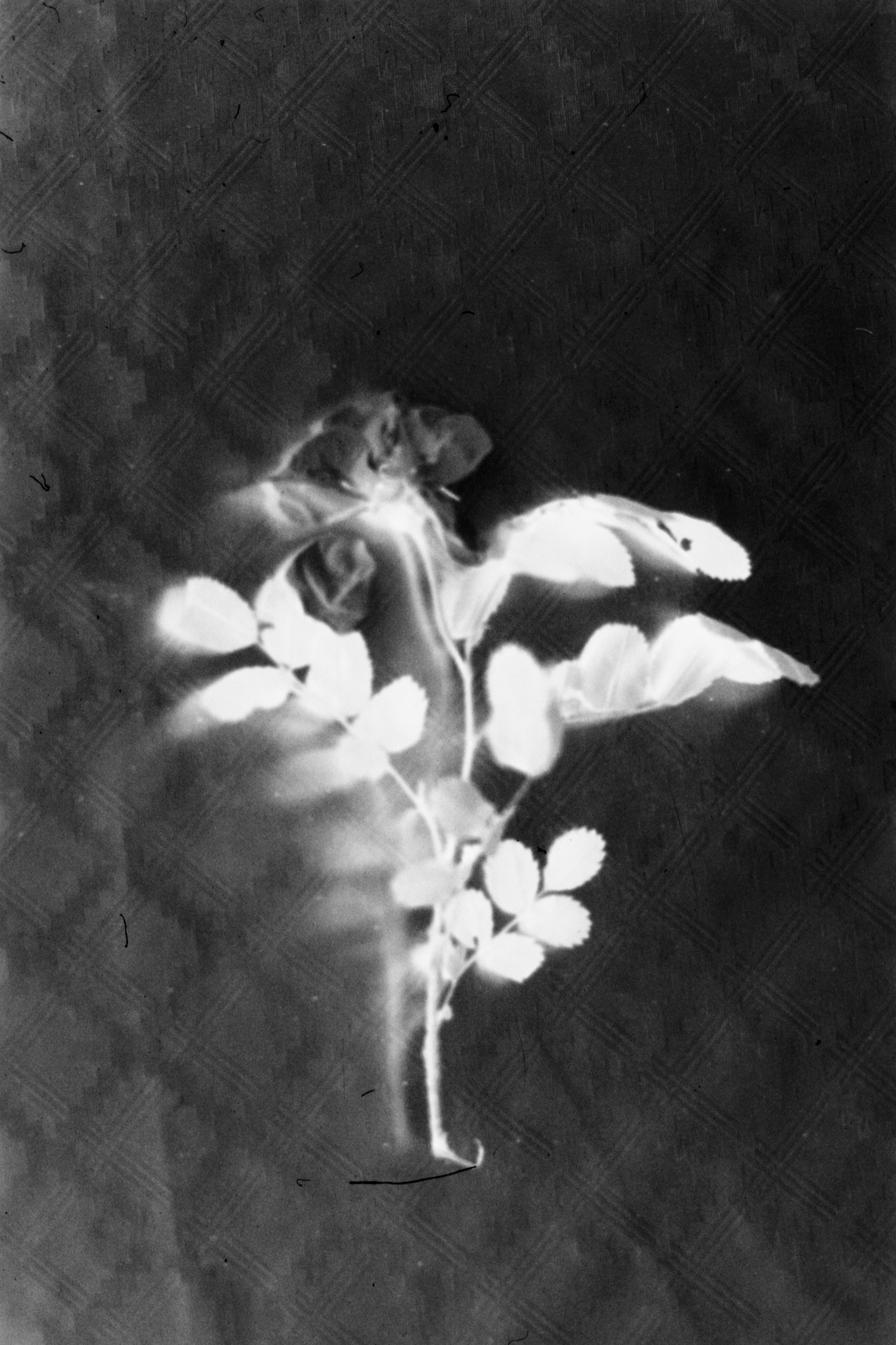 Waves. Vika Bykovskaya photography