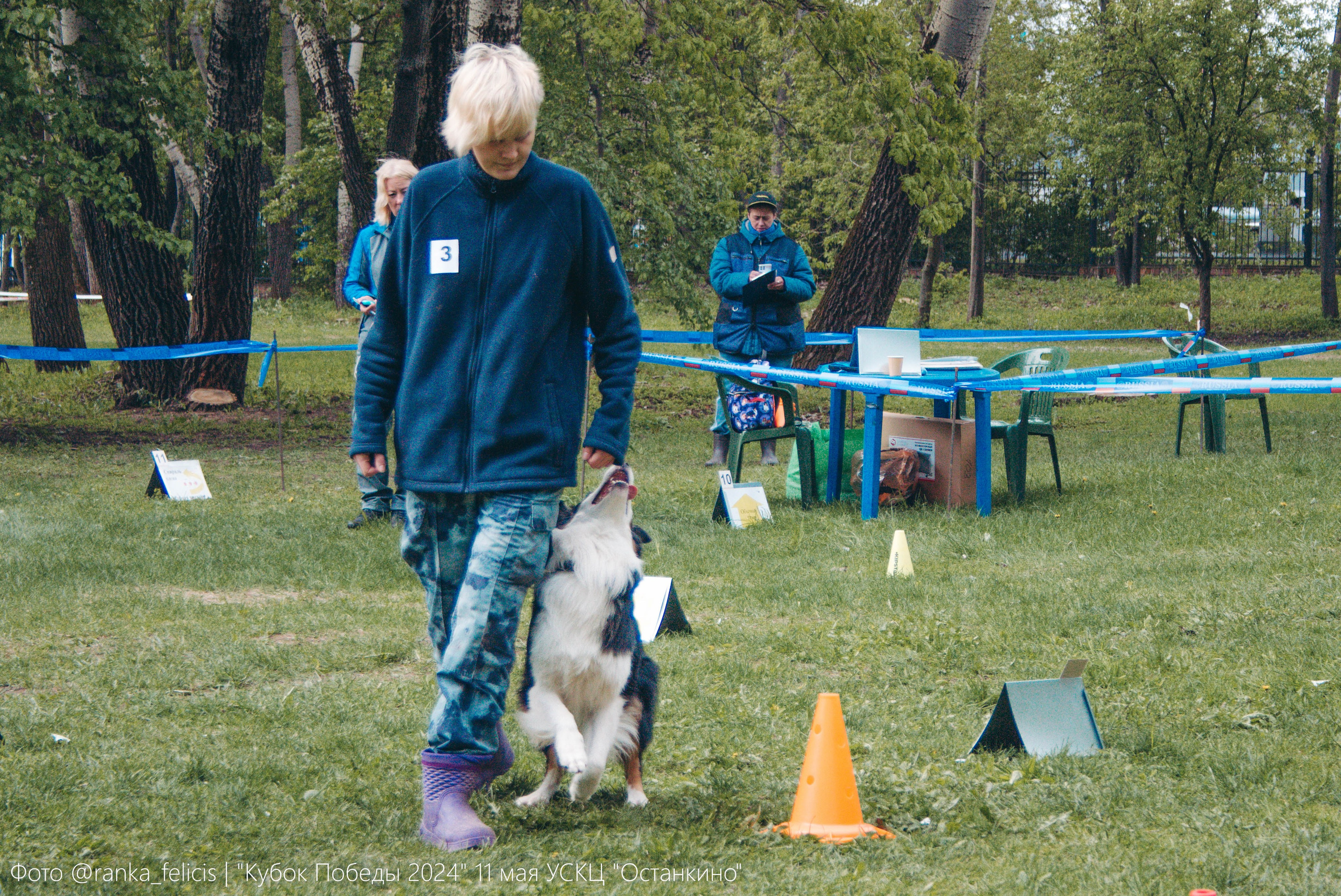 О нас. BLGKV питомник собак