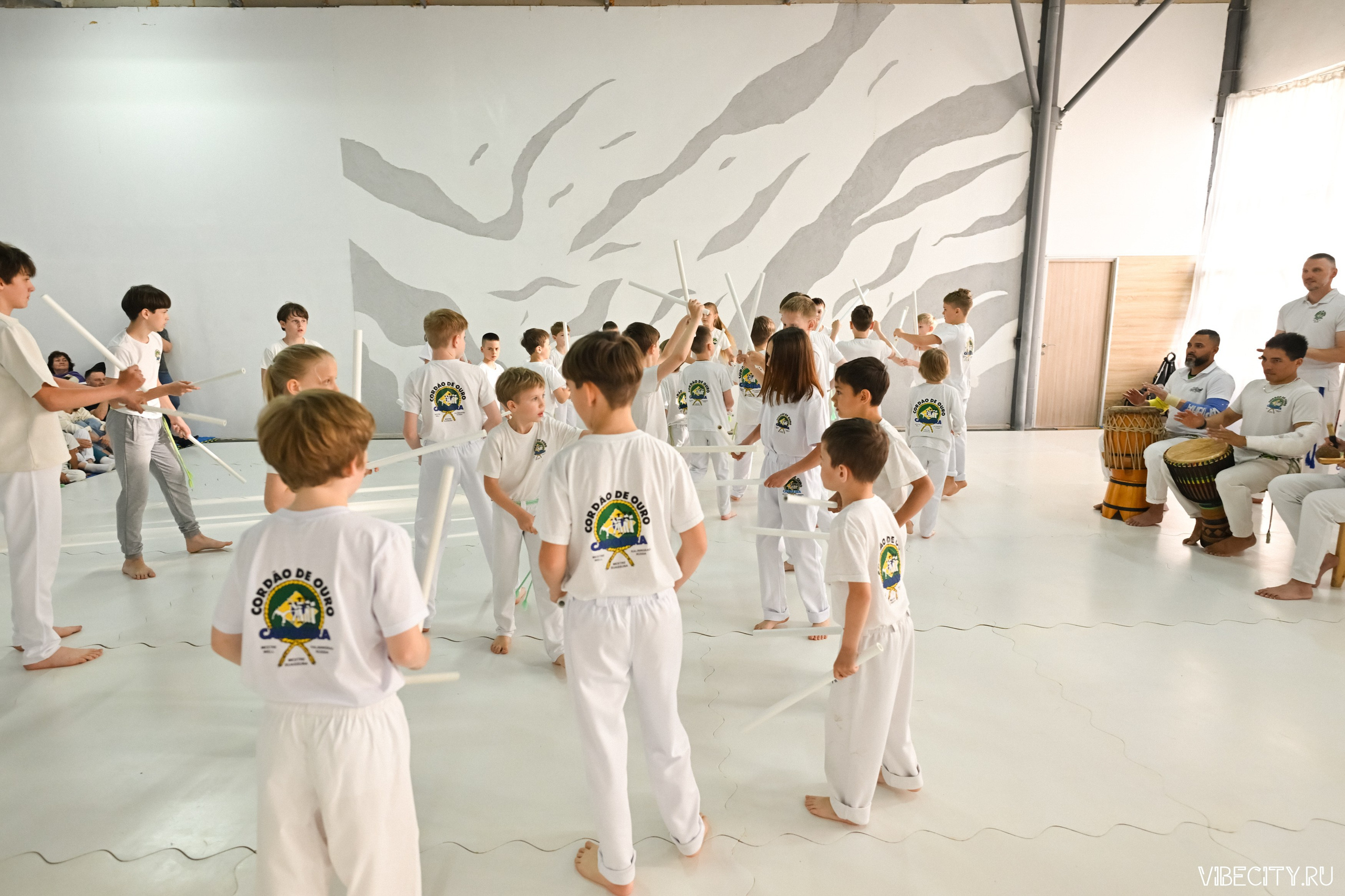Capoeira: 4-е batizado e Troca de cordao. VIBECITY.RU Вайб Сити Ру Фоторепортажи Фотоотчеты Калининград
