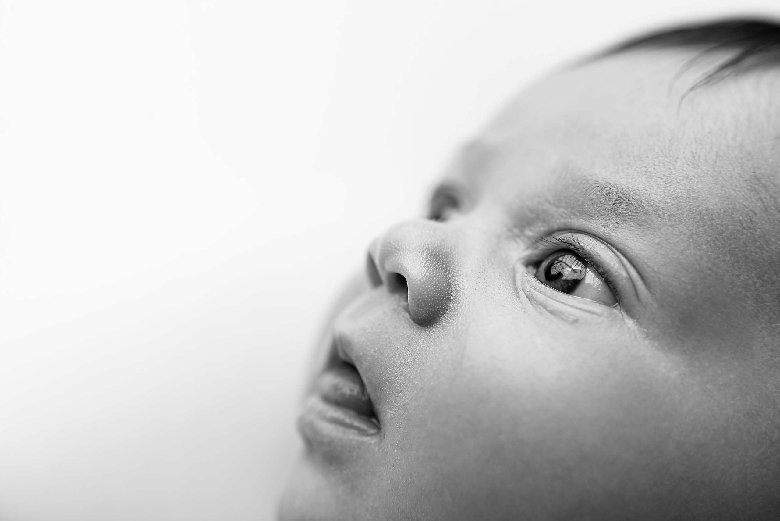 Детский фотограф новорождённых в Барнауле Ксения Хомкина