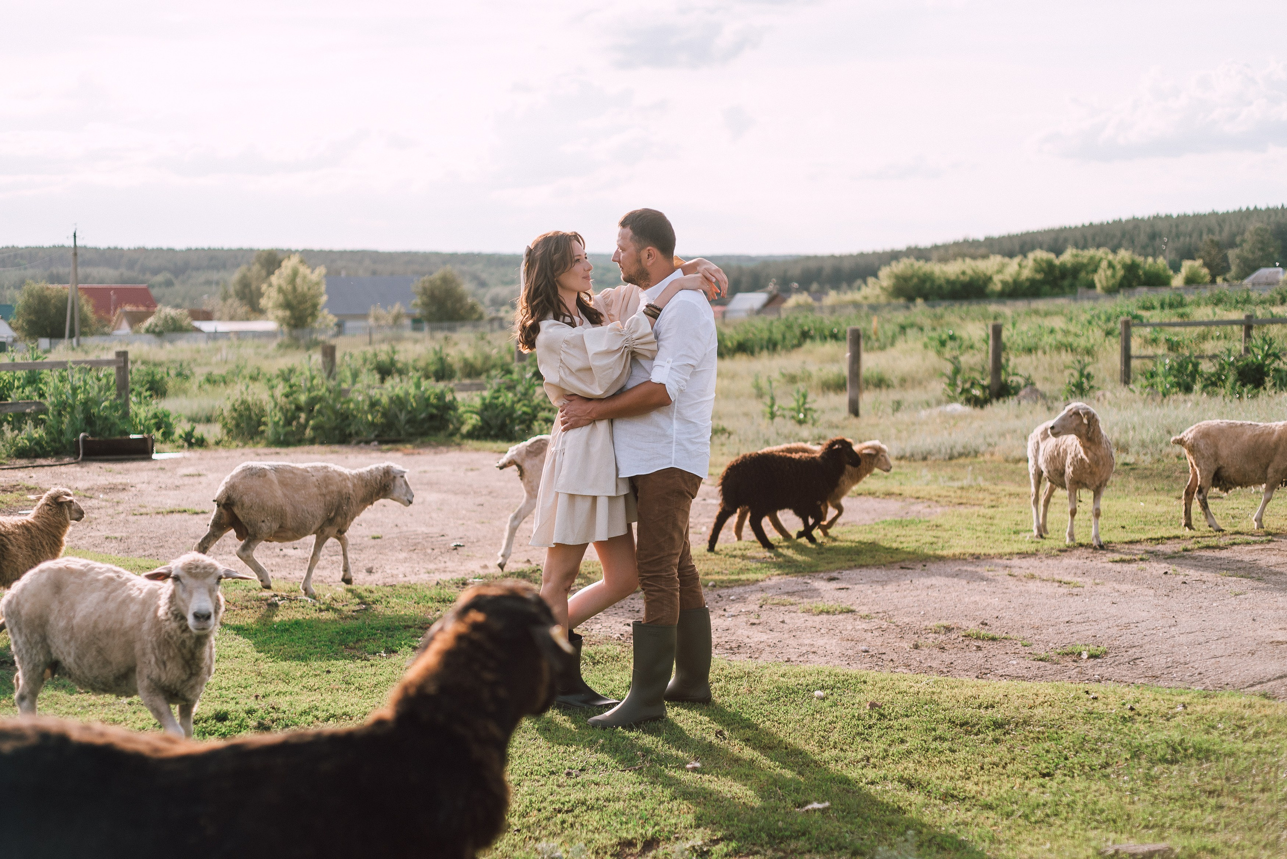 Love story на ферме, жених и невеста среди стада овец