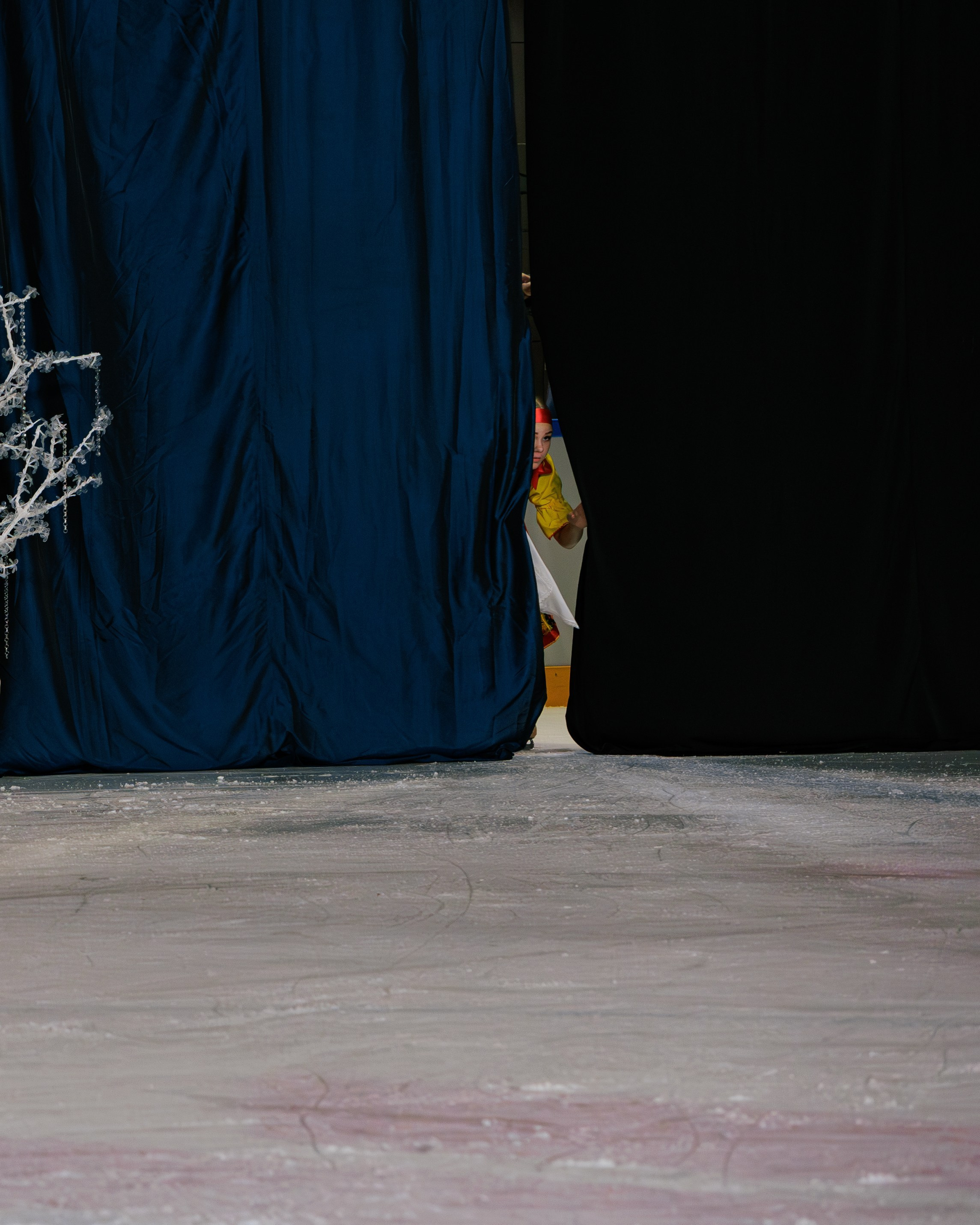 Детский театр на льду «АЛЕКО». Выпускные альбомы и школьный фотограф в Подольске, Троицке, Щербинке, Москве и Московской области