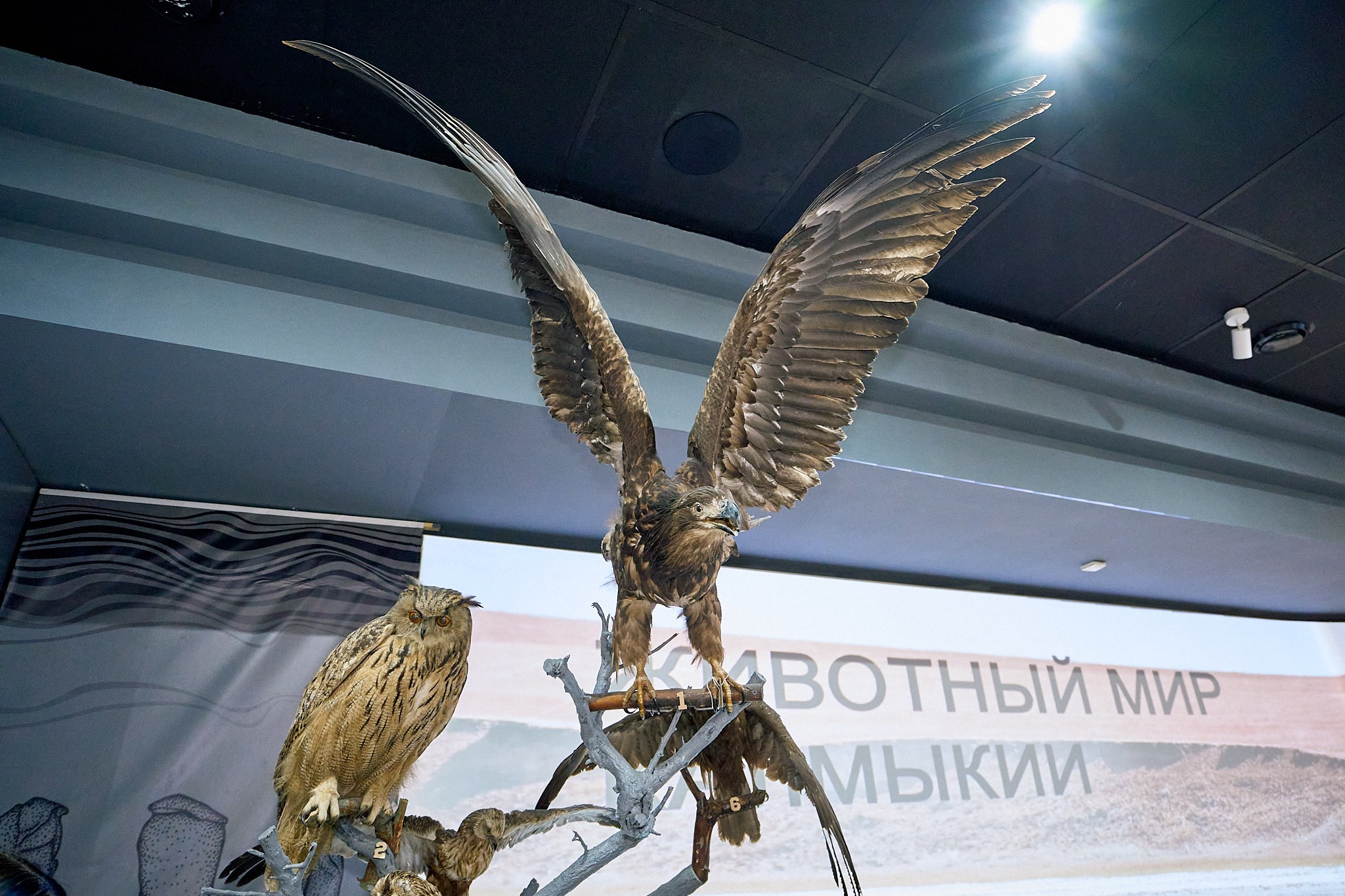 Элиста 08.2024. Петр Ступень. Свадебное, семейное фото и видео. Москва. Краснодар