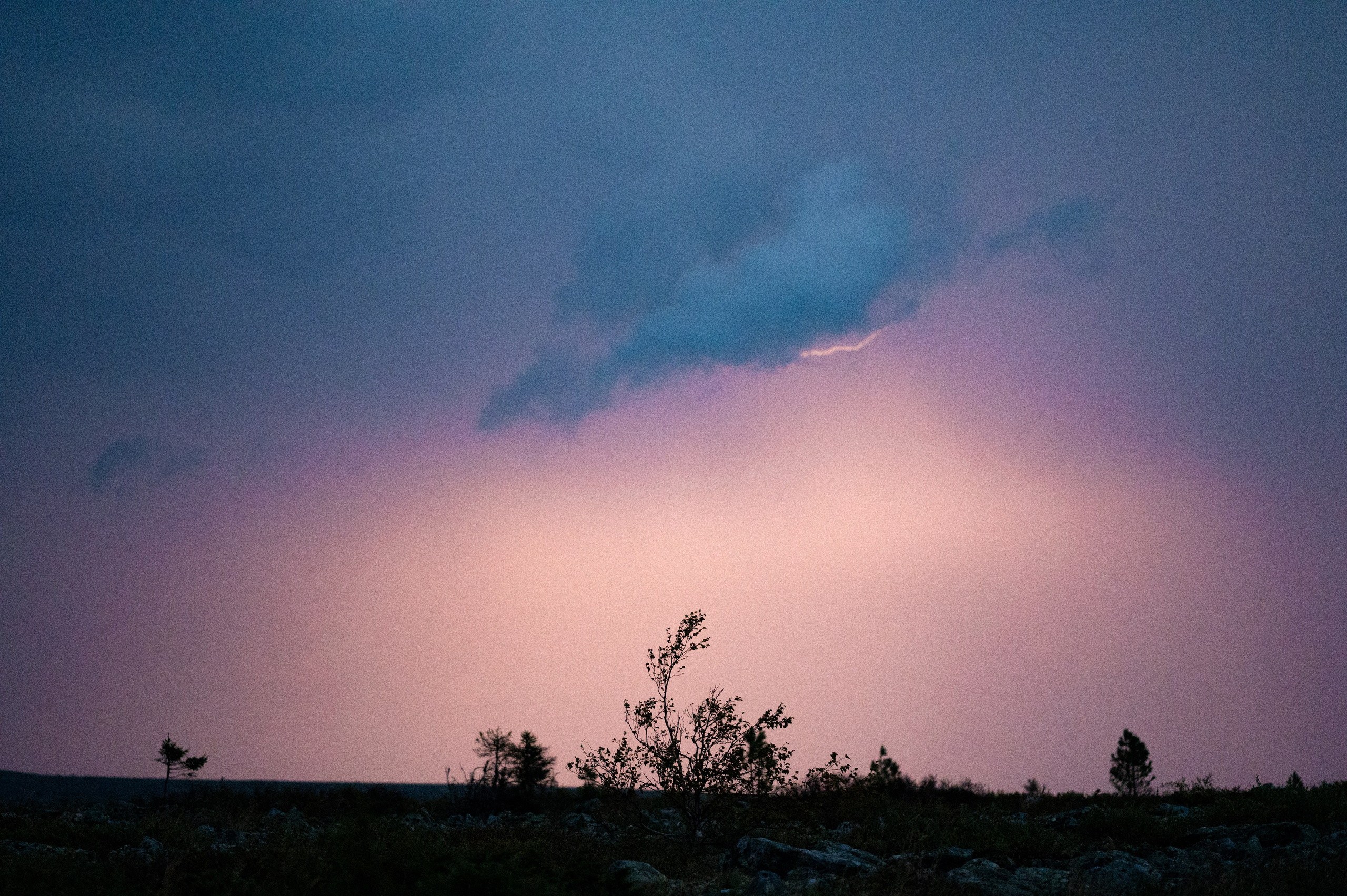 Photographer Yulia Lushnikova, Based in Valencia