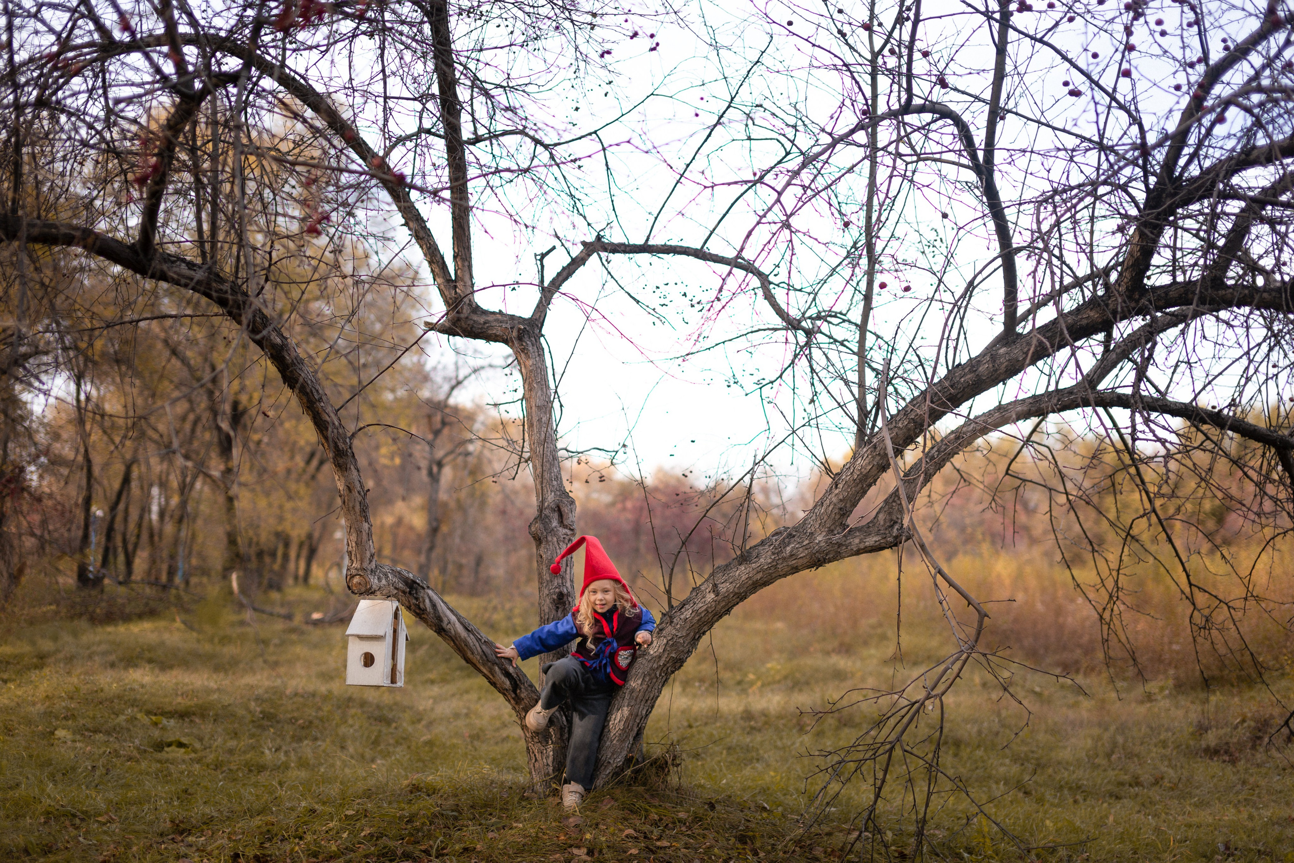 Лесные гномы