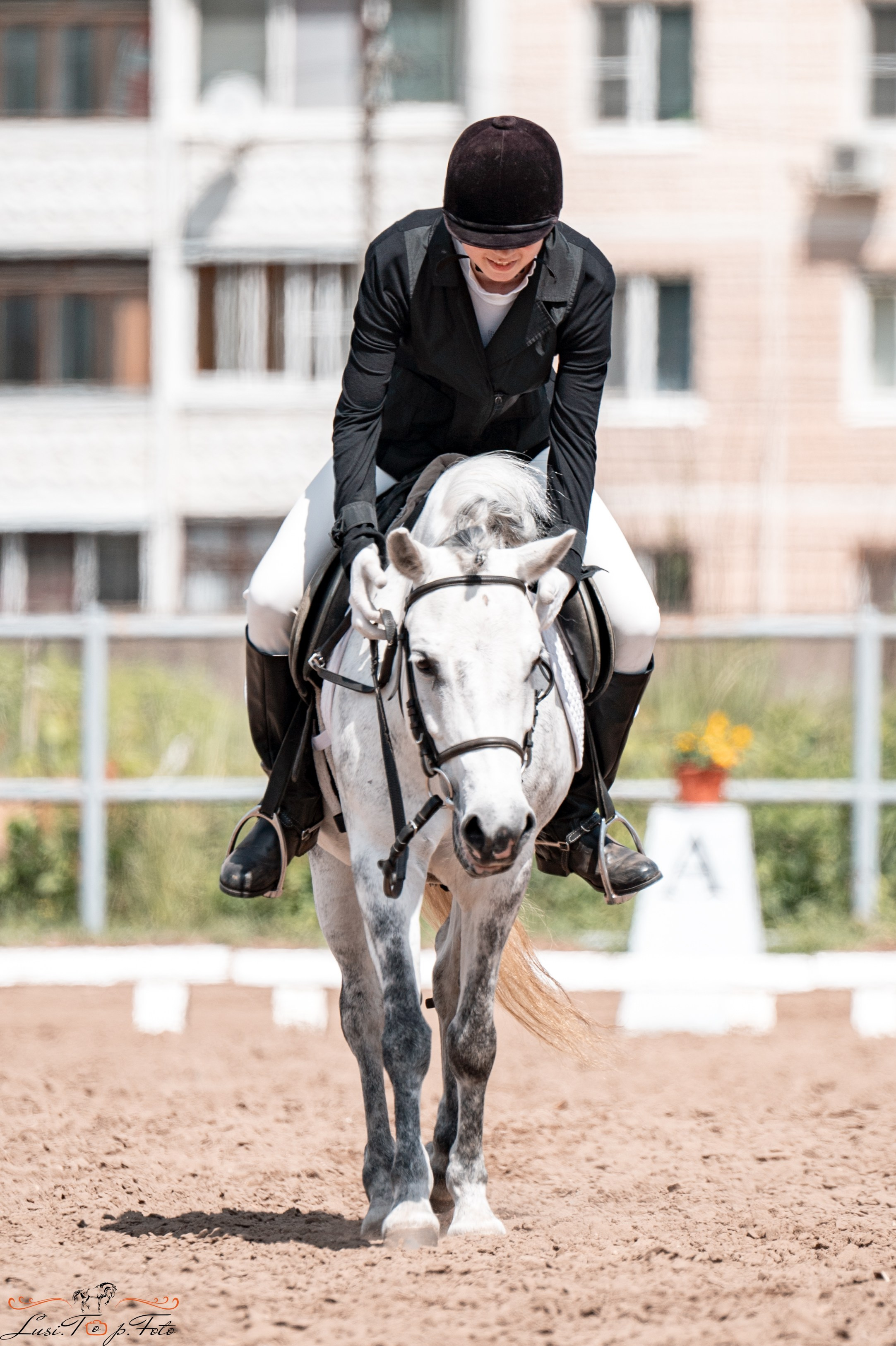 Областные соревнования по выездке. Тверь. Конный и фотограф с животными в Твери Топталова Люся