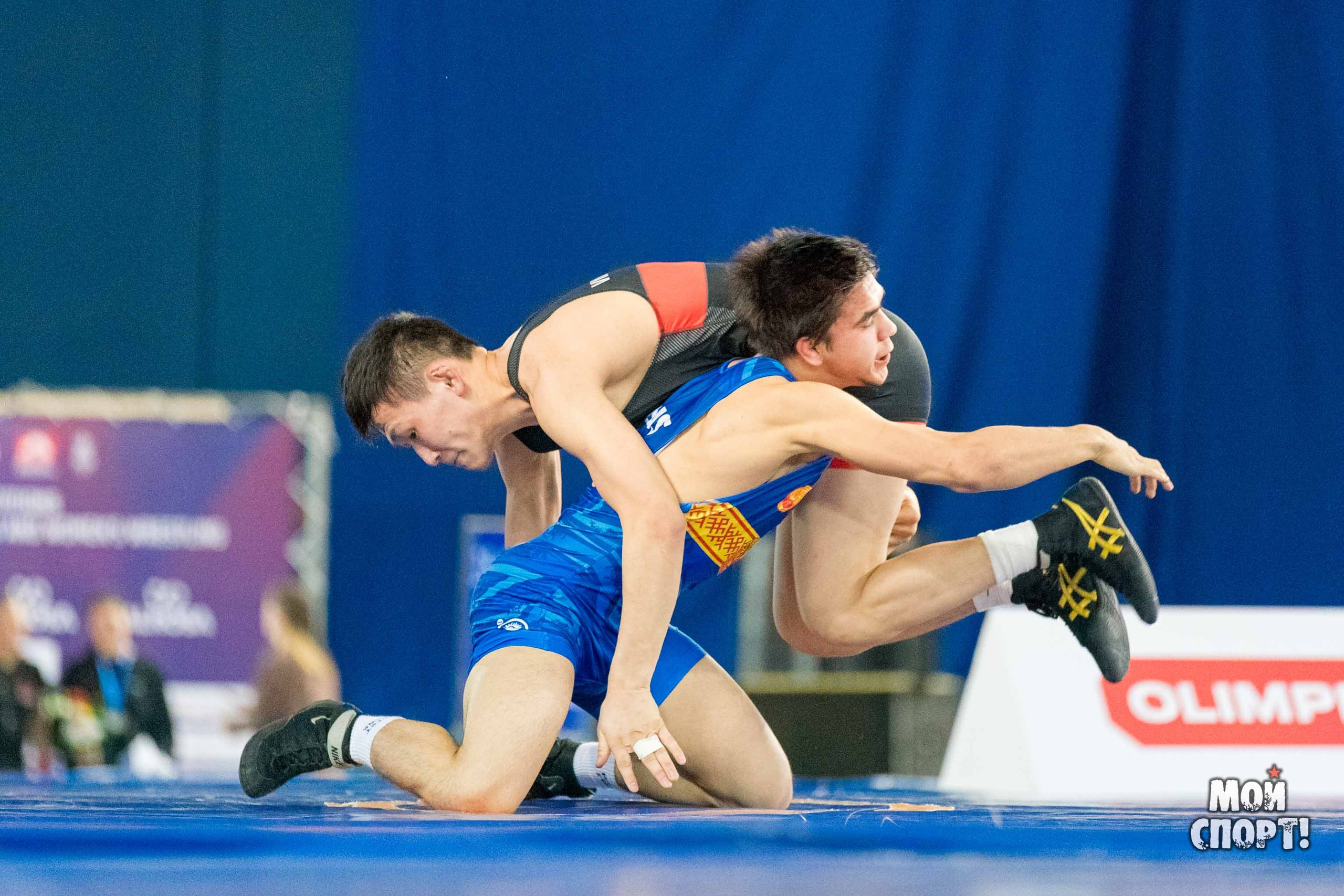 Международный турнир по вольной борьбе среди юниоров памяти олимпийского чемпиона Романа Дмитриева. Студия «Мой Спорт!» — все о спорте в Якутии