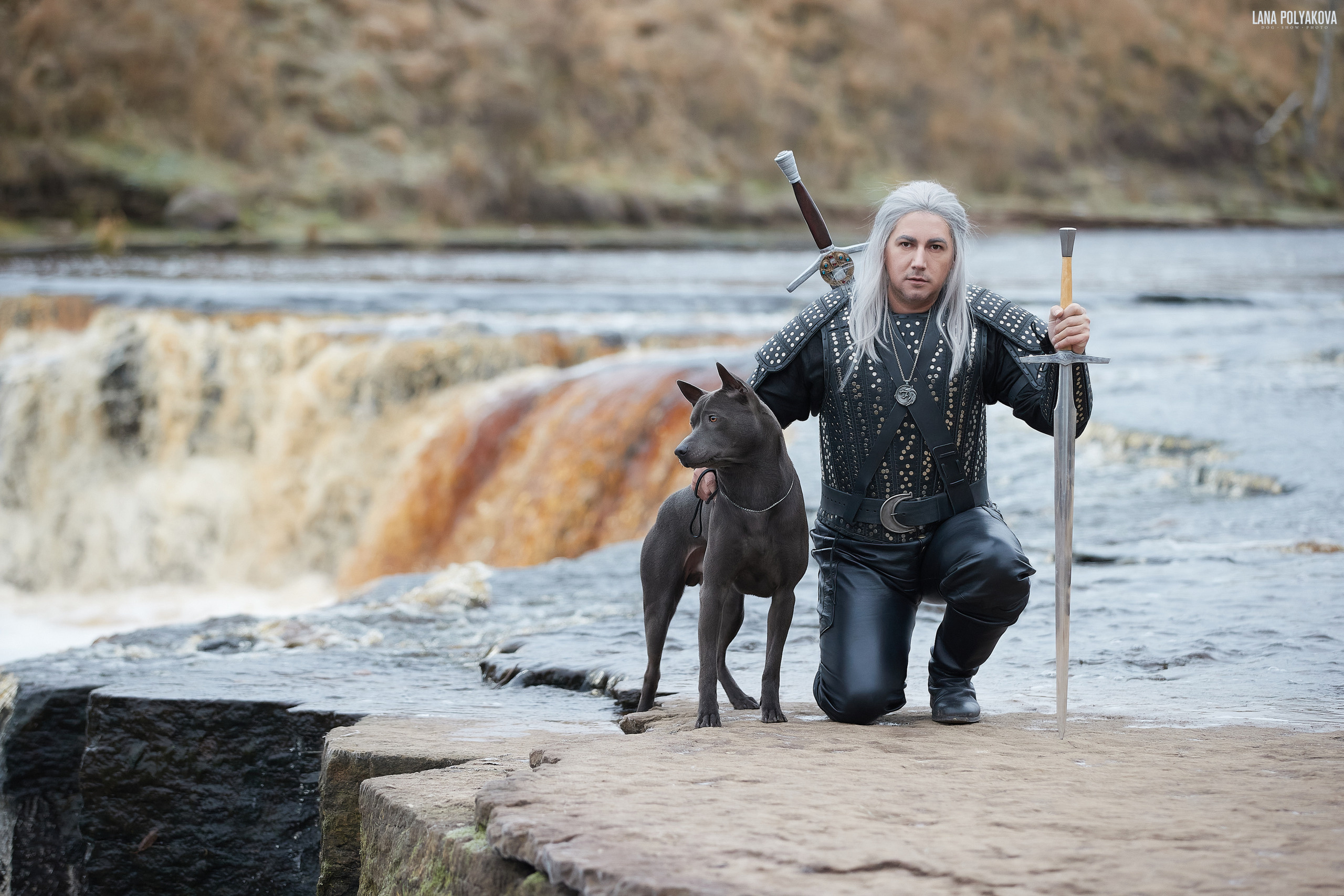 Обычная картина средневековья. ФОТОГРАФ-АНИМАЛИСТ l LANA POLYAKOVA