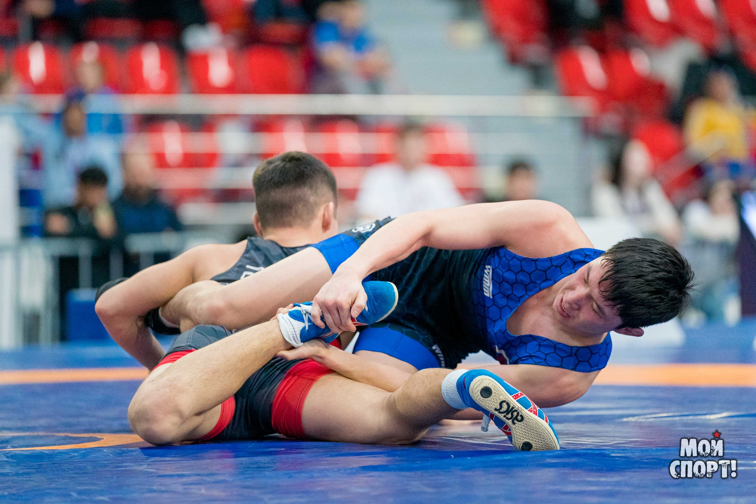 X международные соревнования по спортивной борьбе памяти Р. Дмитриева. Студия «Мой Спорт!» — все о спорте в Якутии