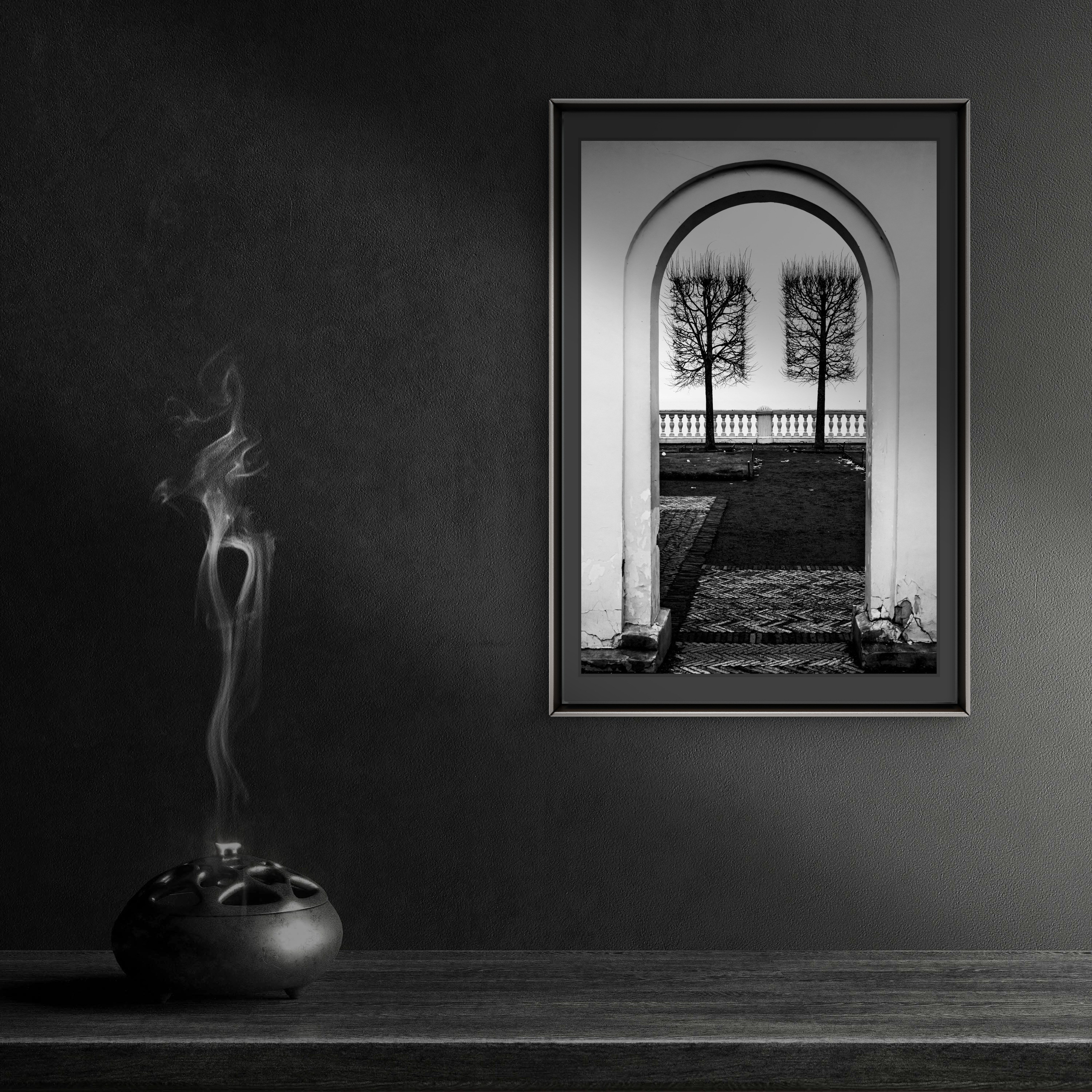 Order. Dimitri Bakhtadze photographer