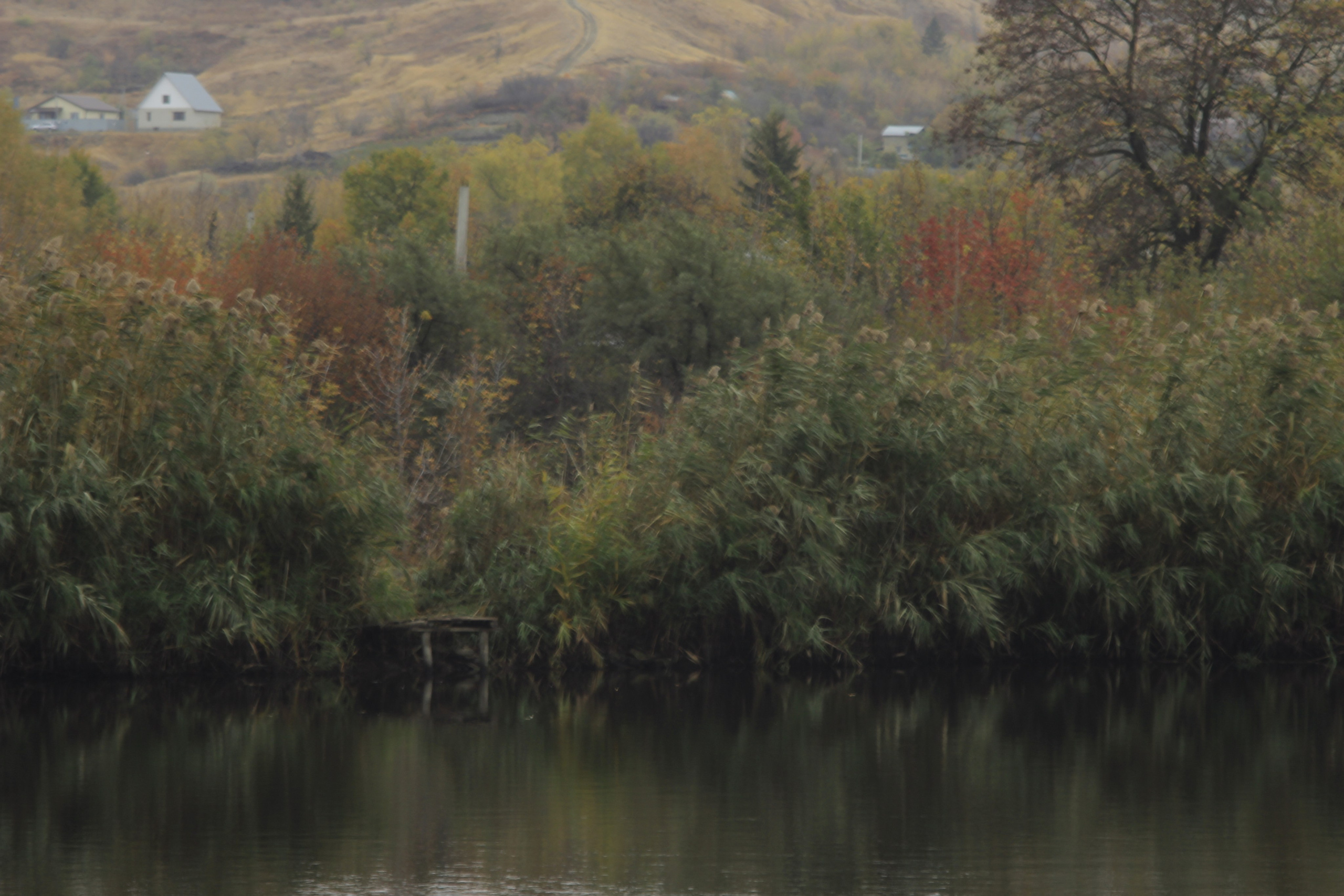 Разбойщина, Саратов, студенческая архитектурная мастерская Евгения Спирина и САСК. Фотокрыжовник. Снимаем, дружим, путешествуем