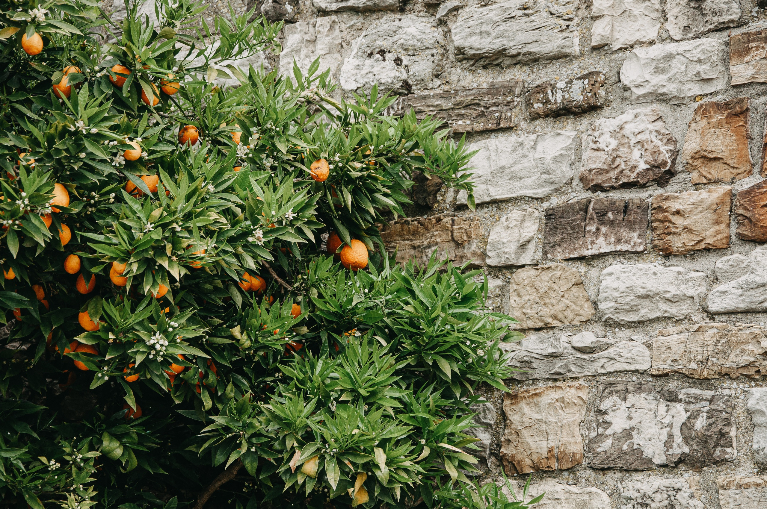 Картезианский монастырь под Флоренцией. Фотограф в Сочи и Абхазии | Фототуры | September Air