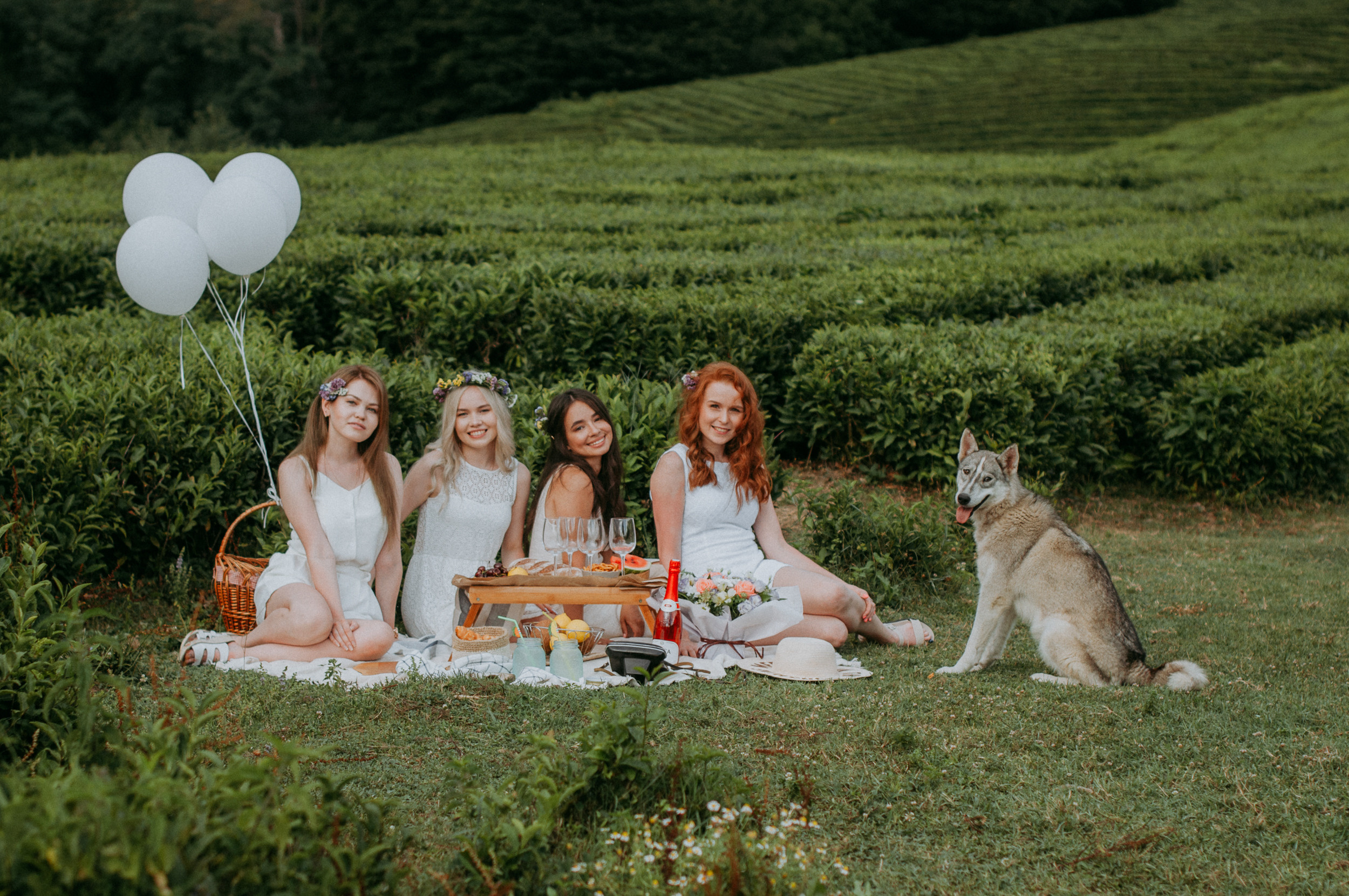Пикник с вином и белыми воздушными шариками на чайных плантациях