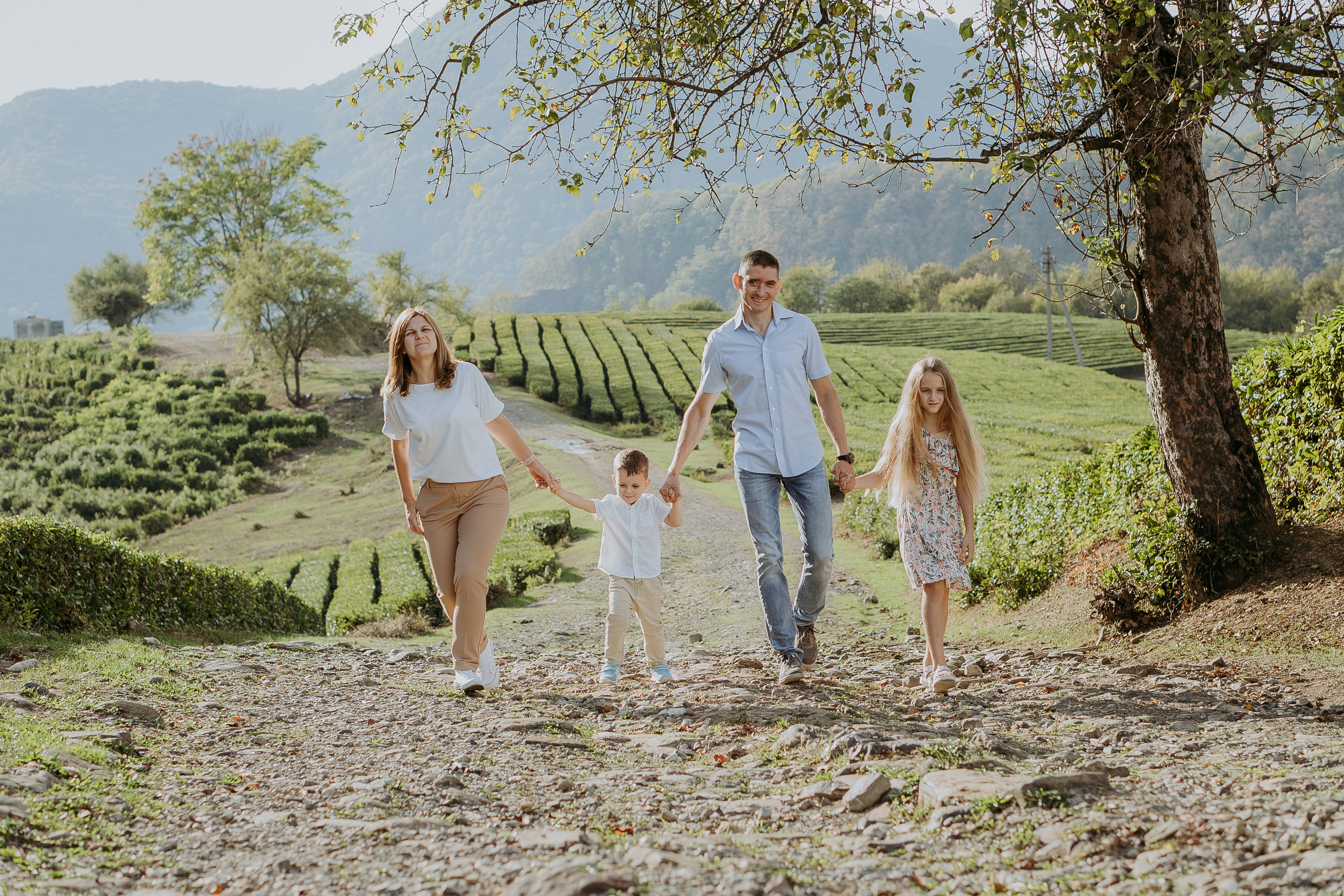 Прогулка по чайным плантациям с фотографом