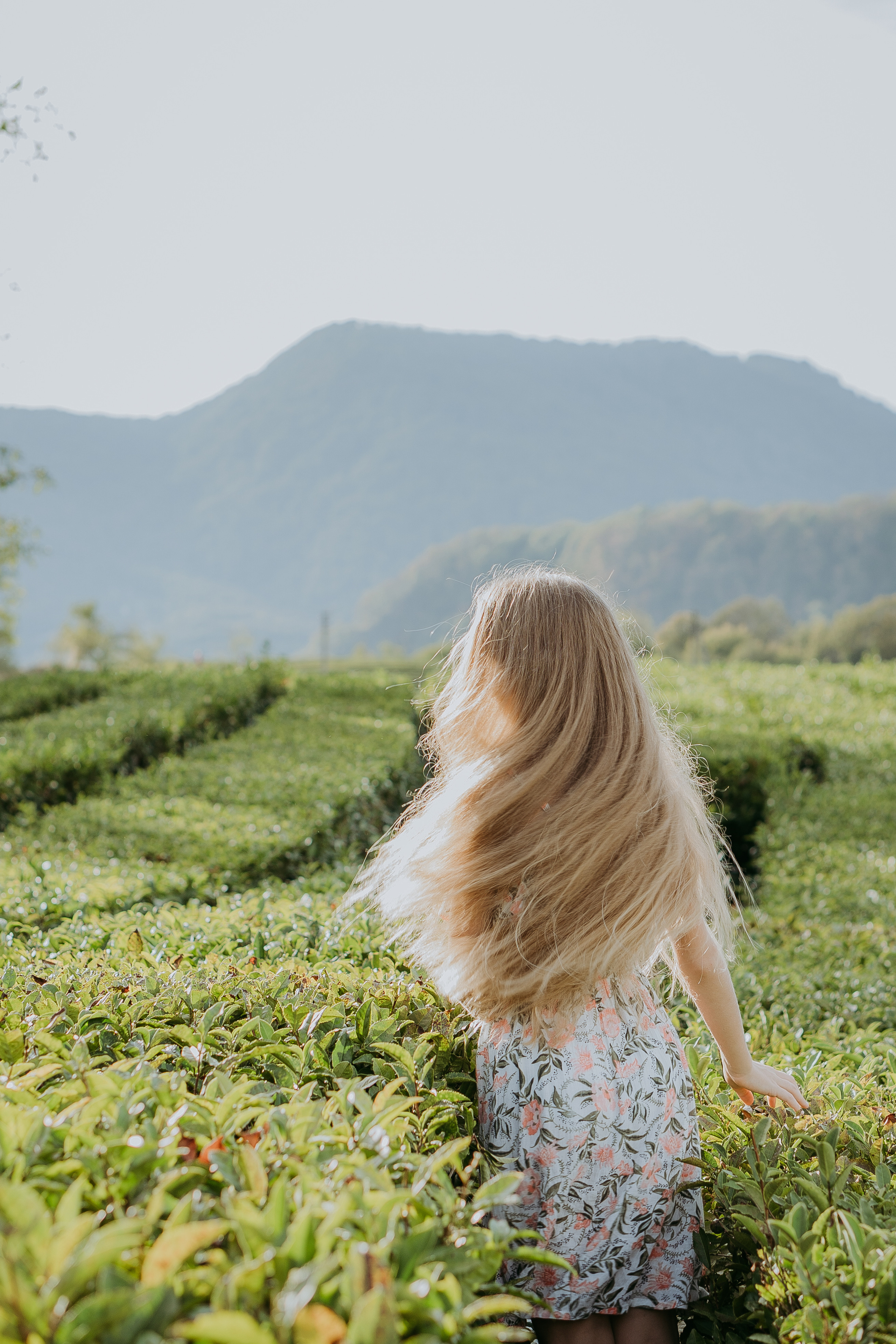 Наталья, Тимур, Элина и Максим. Семейная фотосессия на чайных плантациях. Фотограф в Сочи и Абхазии | Фототуры | September Air